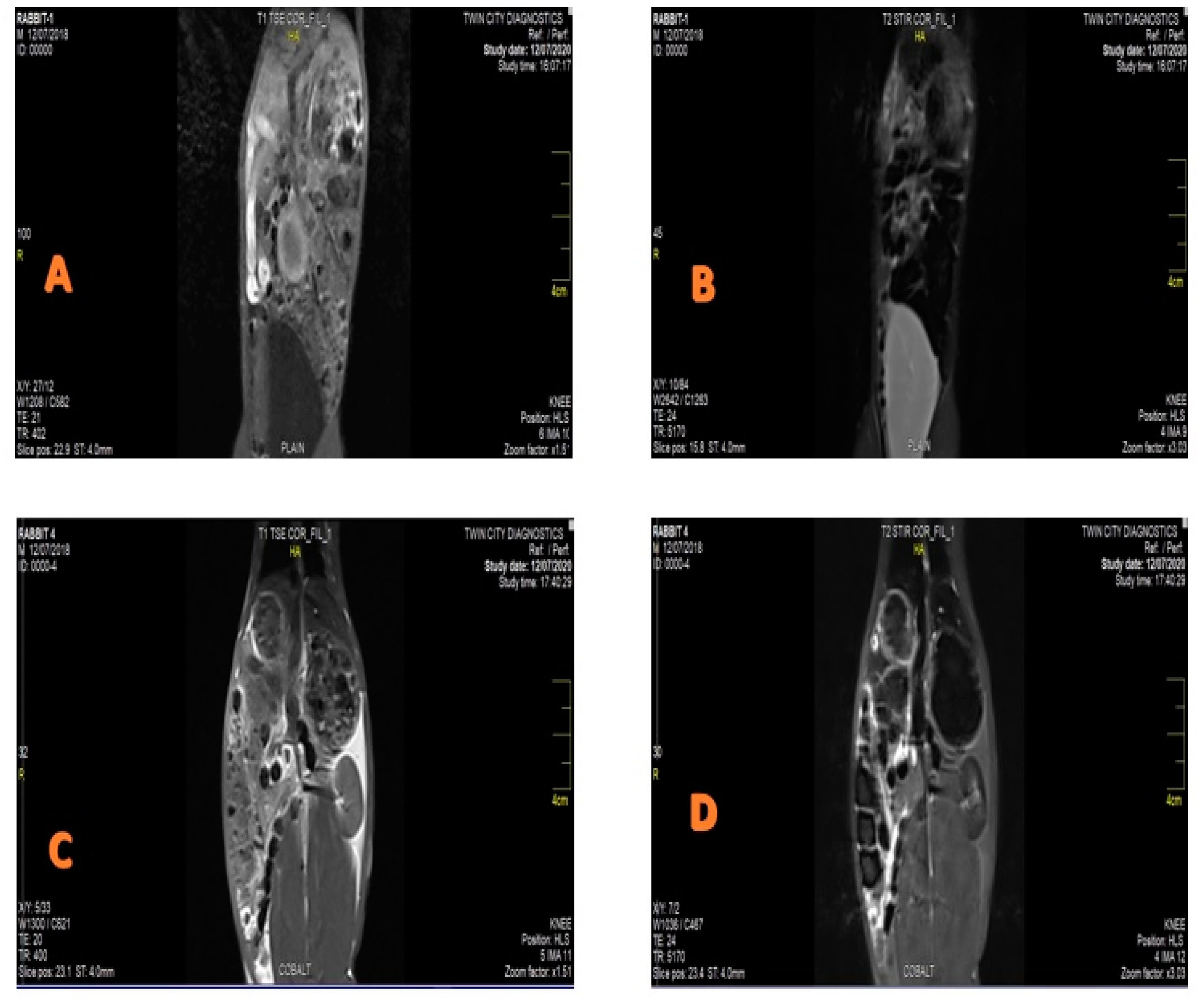 Vetsci 10 00514 g003