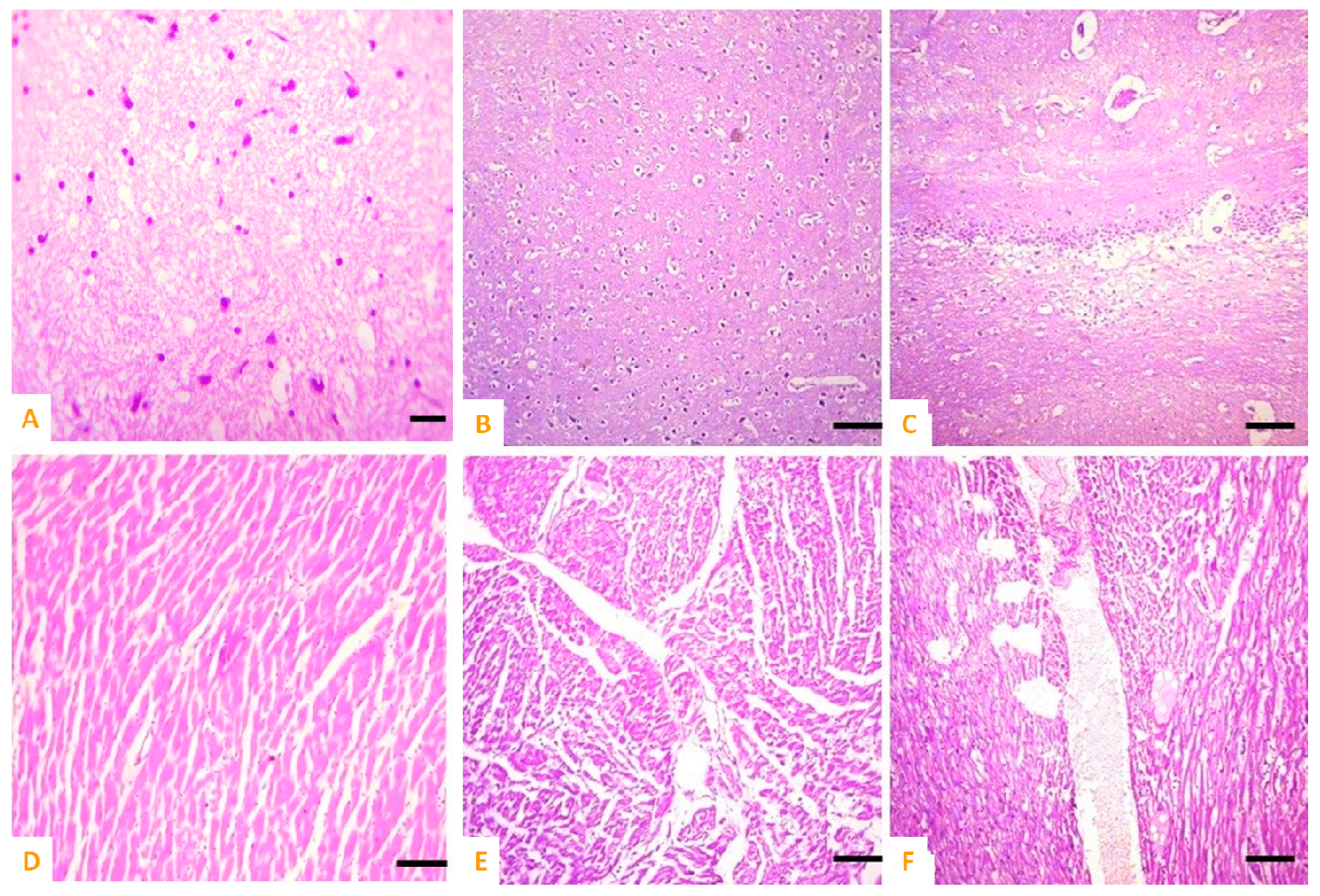 Vetsci 10 00514 g008