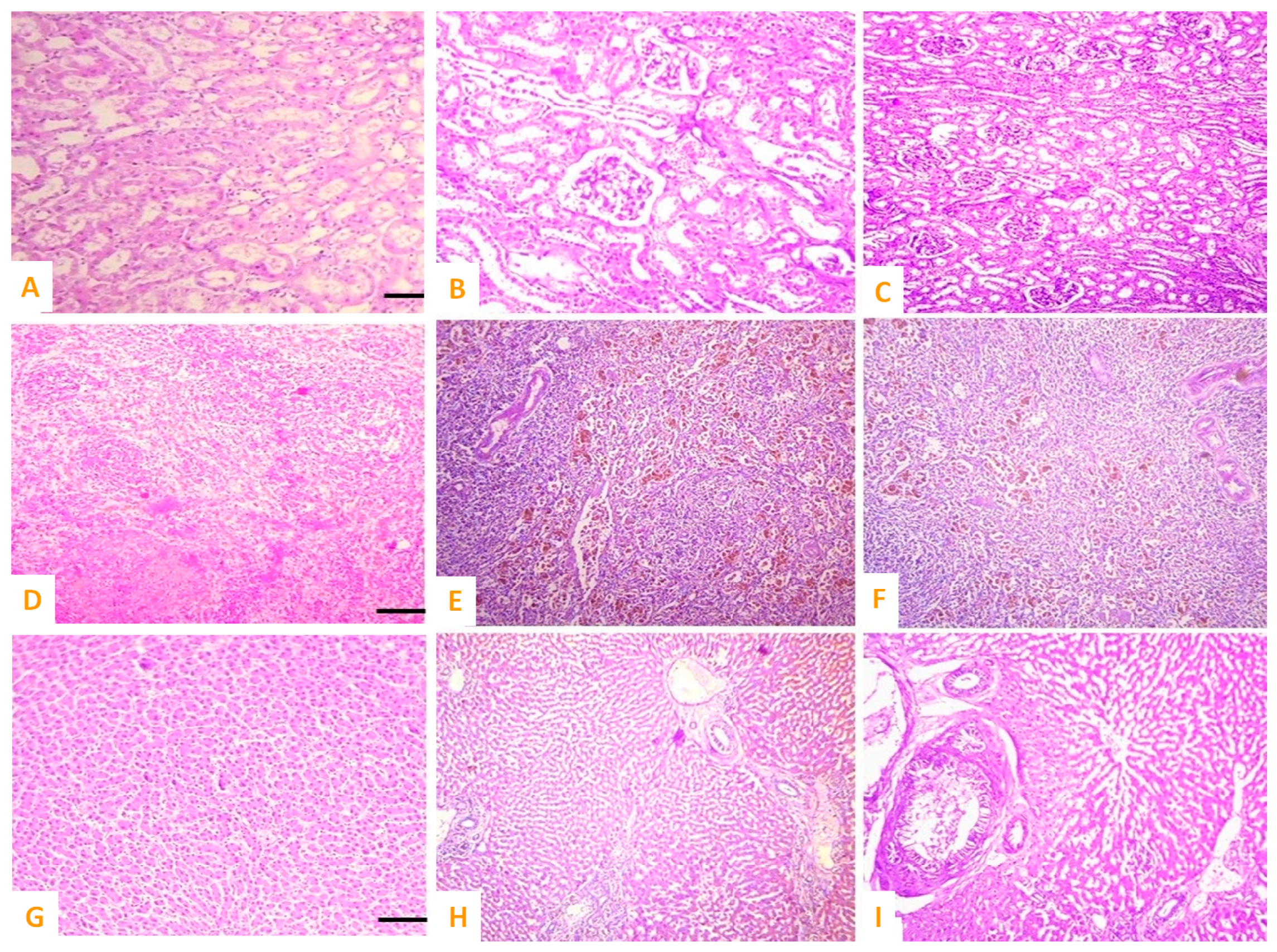 Vetsci 10 00514 g009