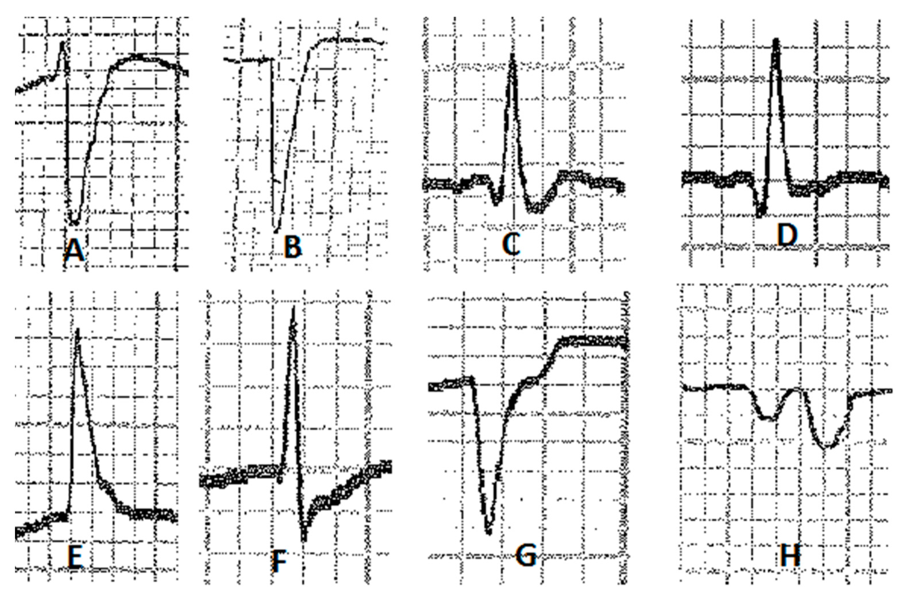 Vetsci 10 00518 g003
