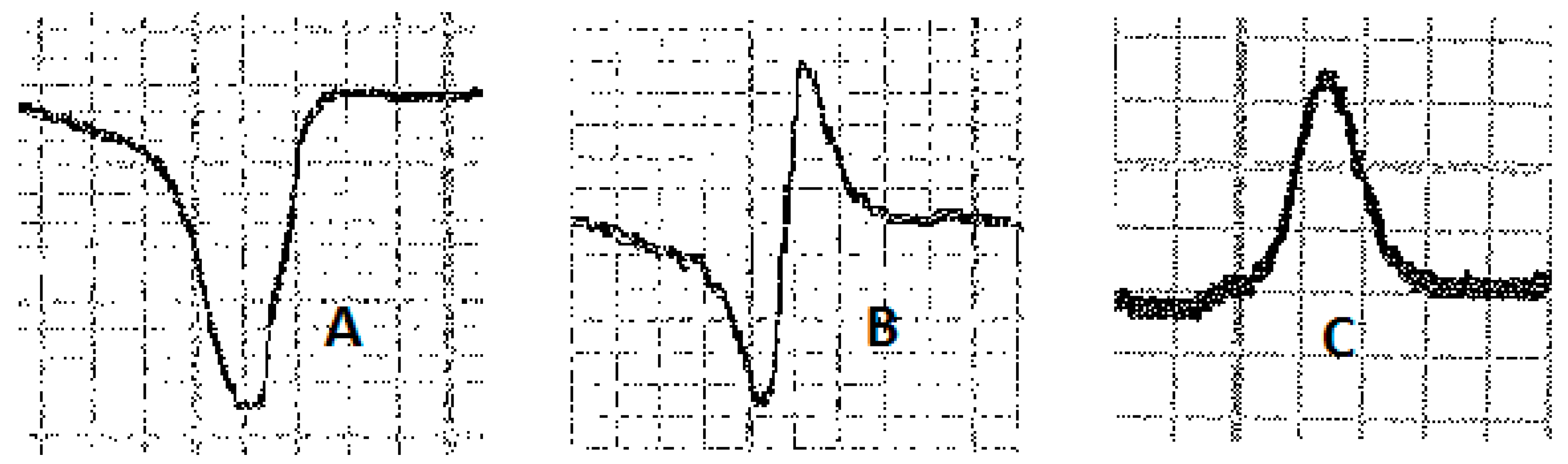 Vetsci 10 00518 g004