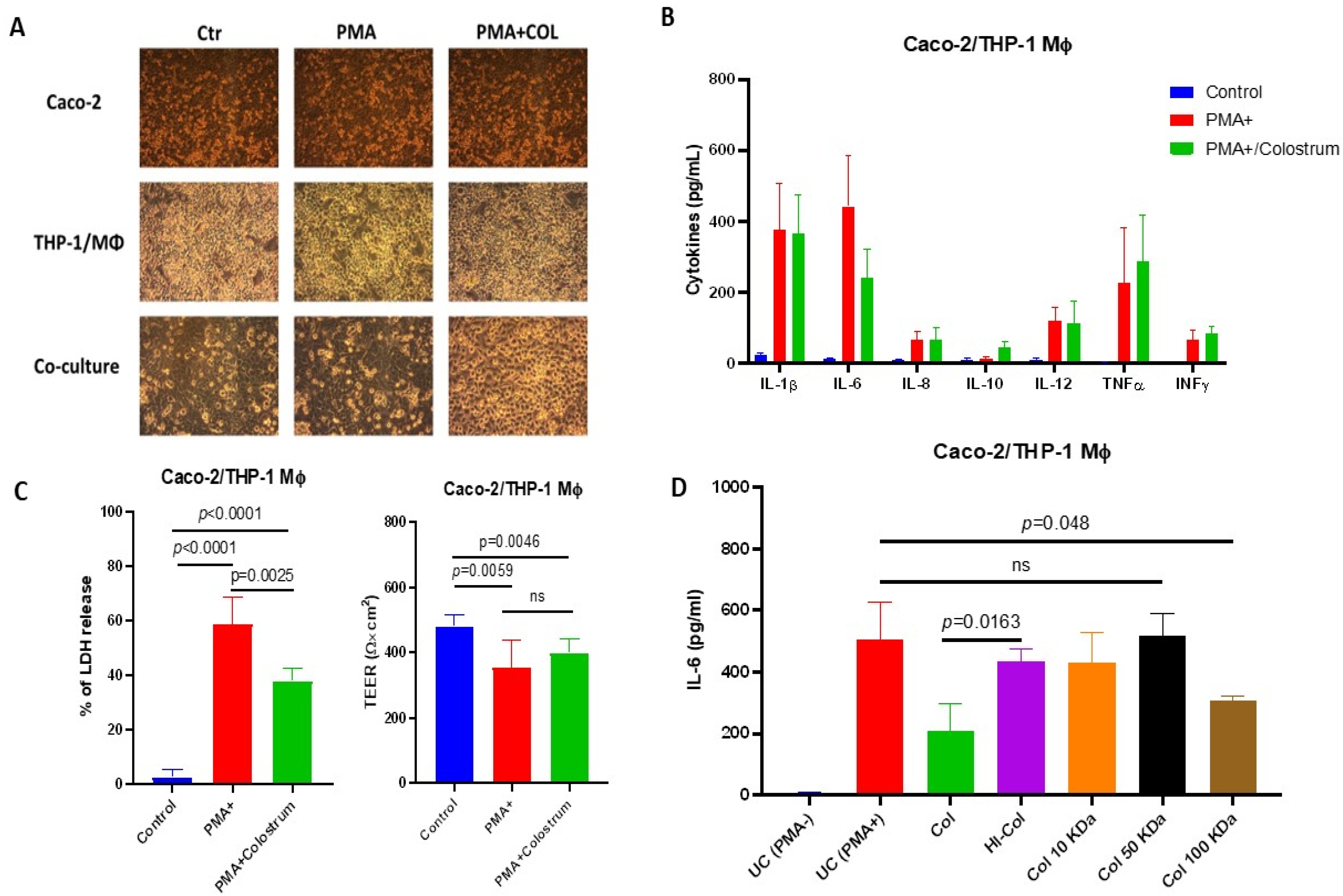 Vetsci 10 00519 g001