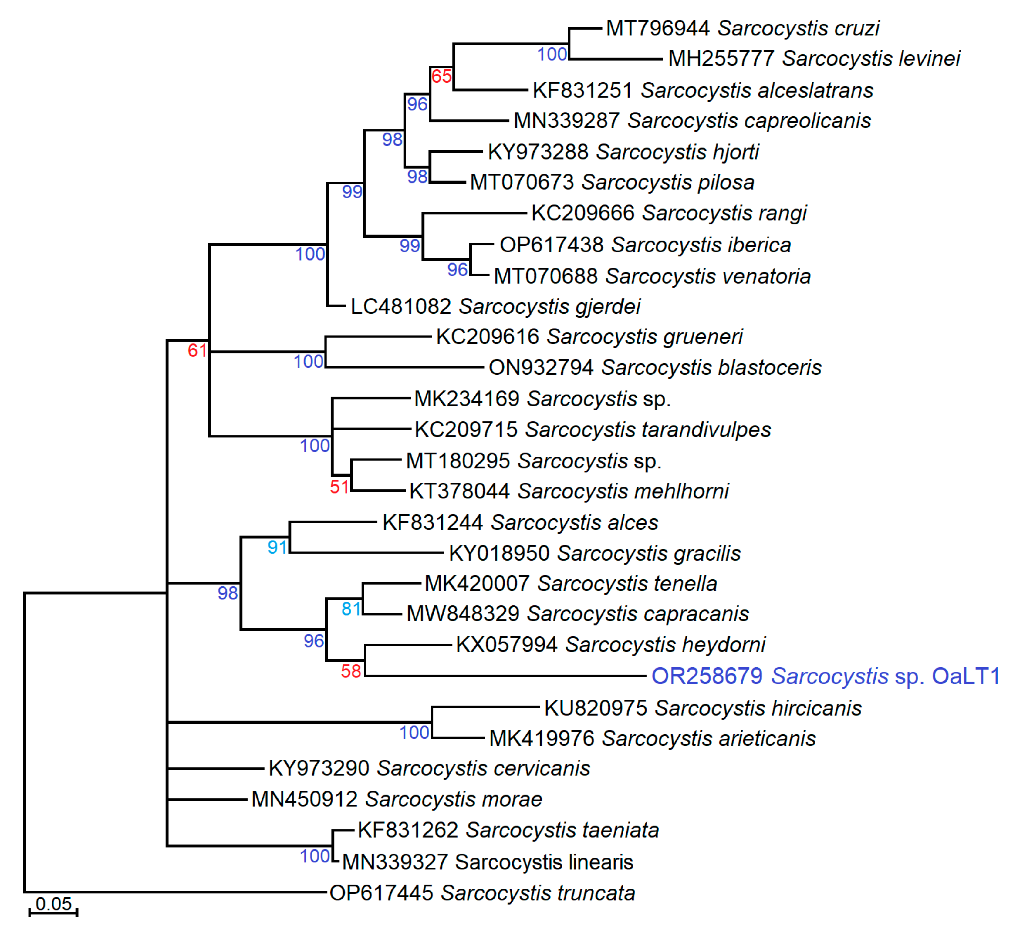 Vetsci 10 00520 g002