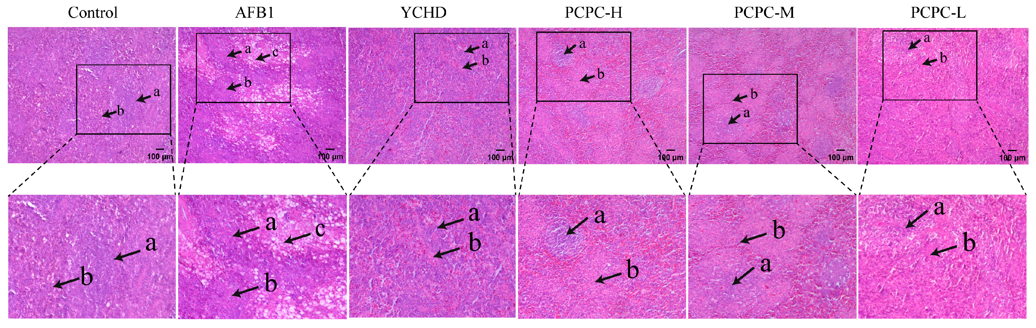 Vetsci 10 00521 g002 Vetsci 10 00521 g002