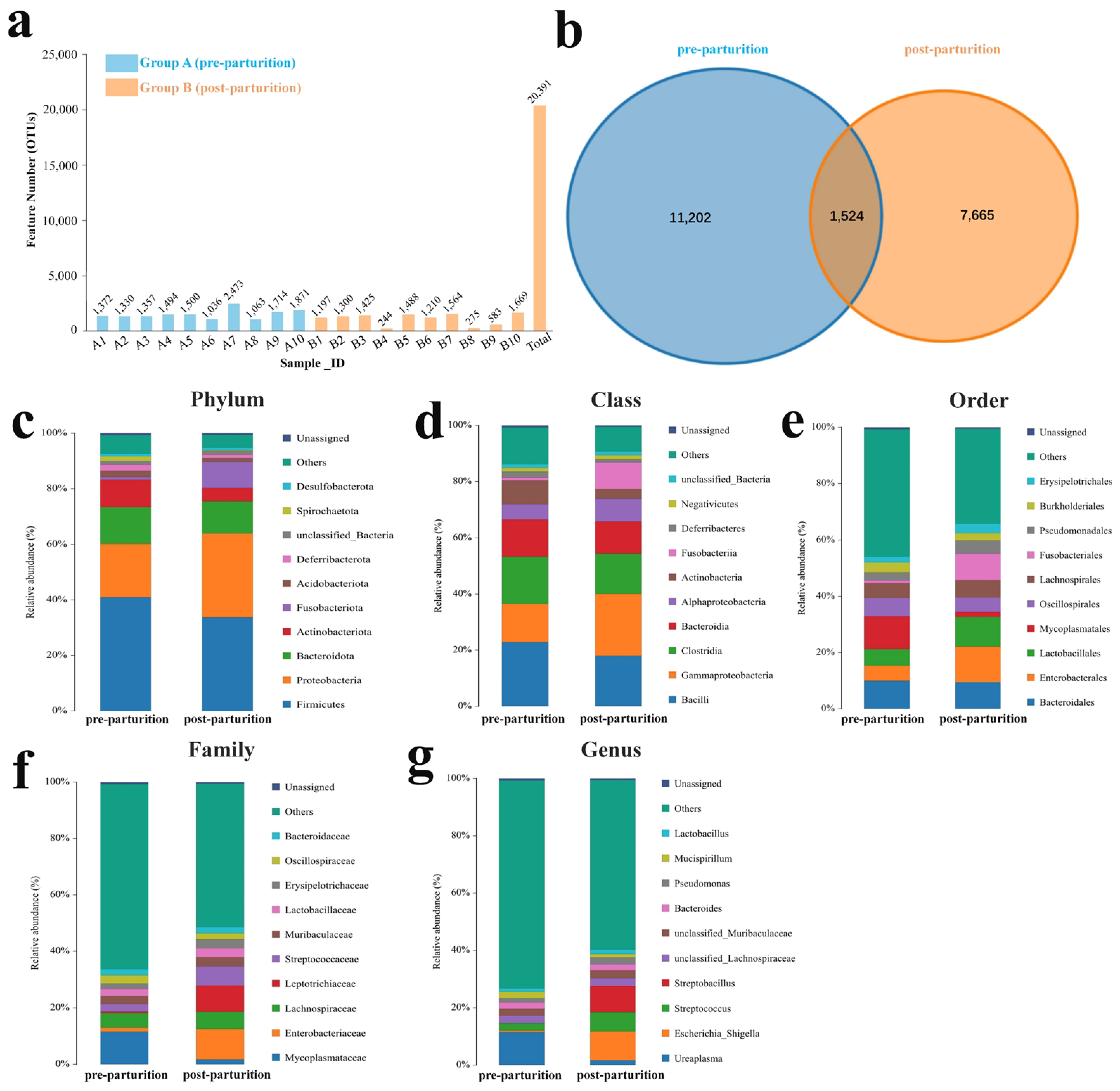 Vetsci 10 00523 g001 Vetsci 10 00523 g001