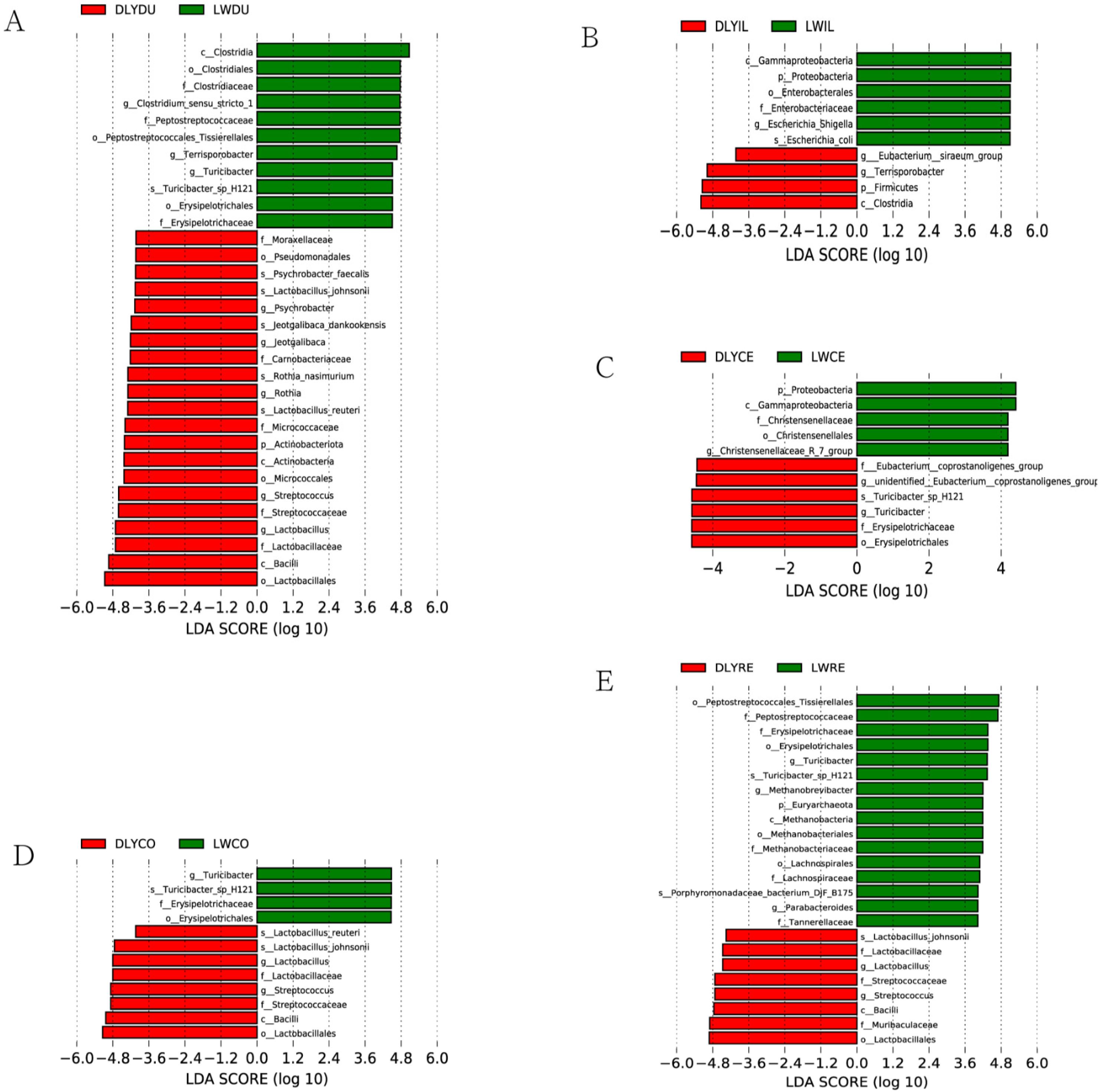 Vetsci 10 00524 g006