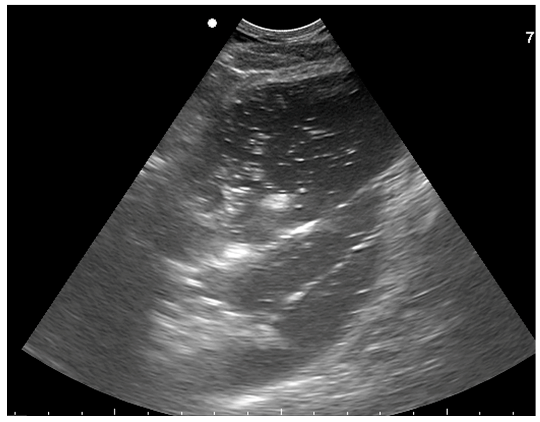 Vetsci 10 00525 g007 550