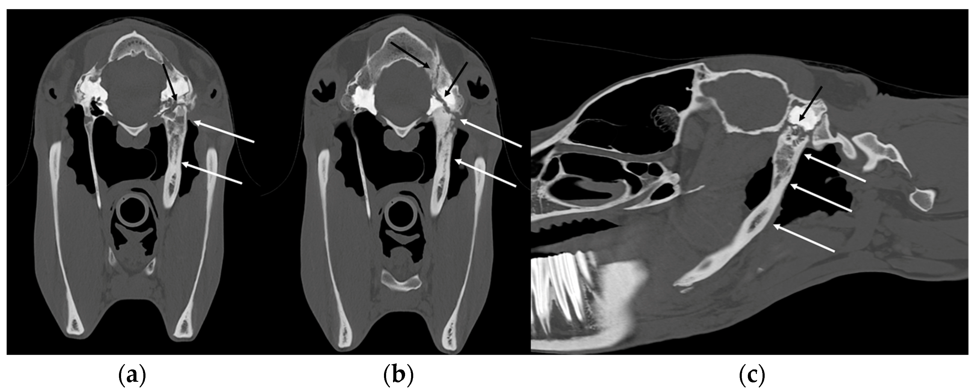 Vetsci 10 00525 g011 550