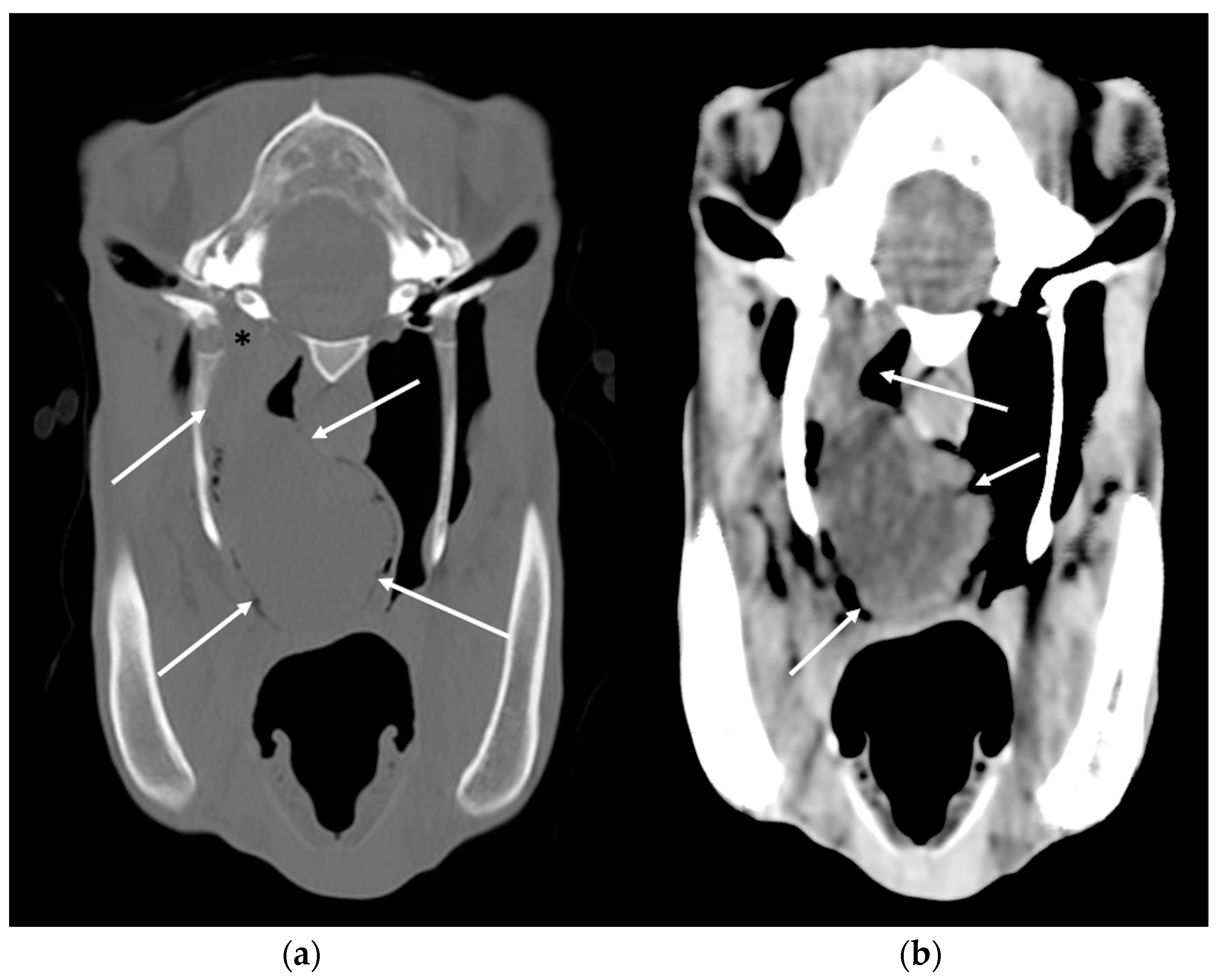 Vetsci 10 00525 g012 550