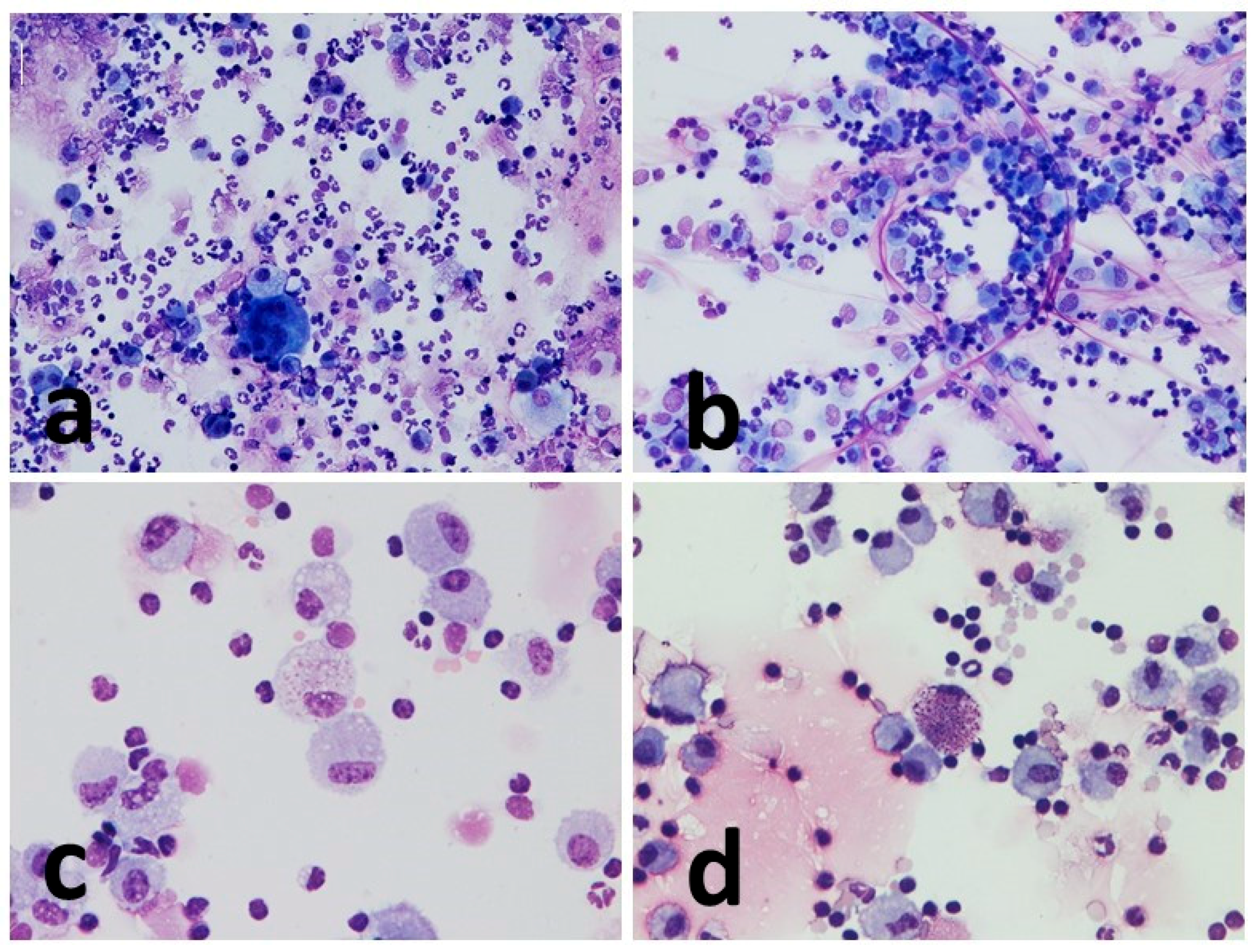 Vetsci 10 00527 g004