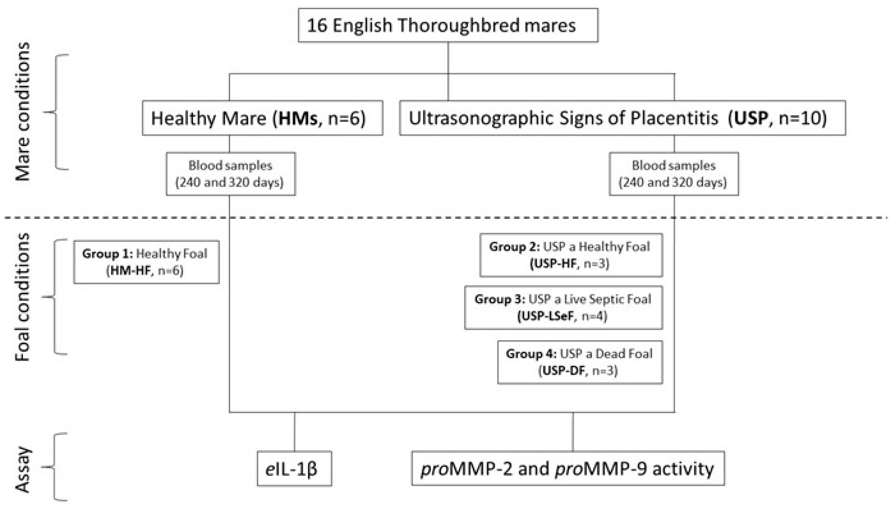 Vetsci 10 00532 g001 Vetsci 10 00532 g001