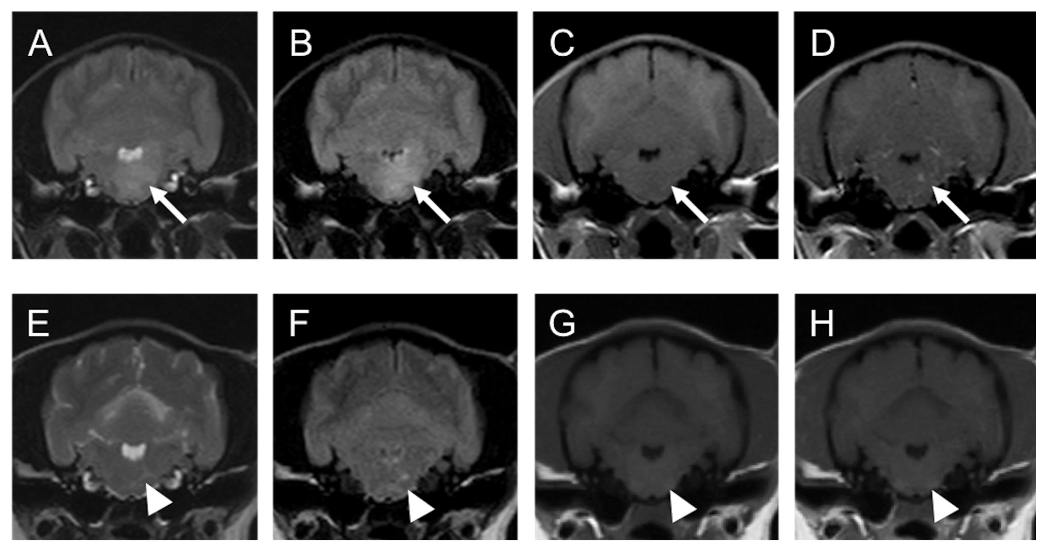 Vetsci 10 00533 g002