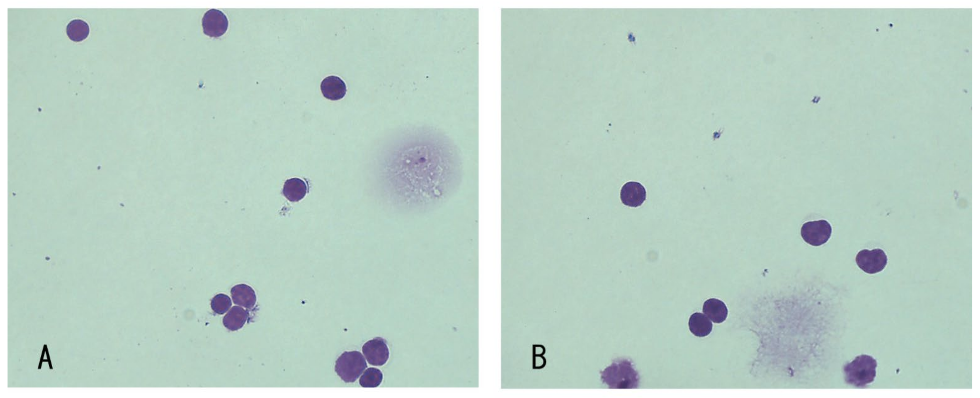 Vetsci 10 00533 g004