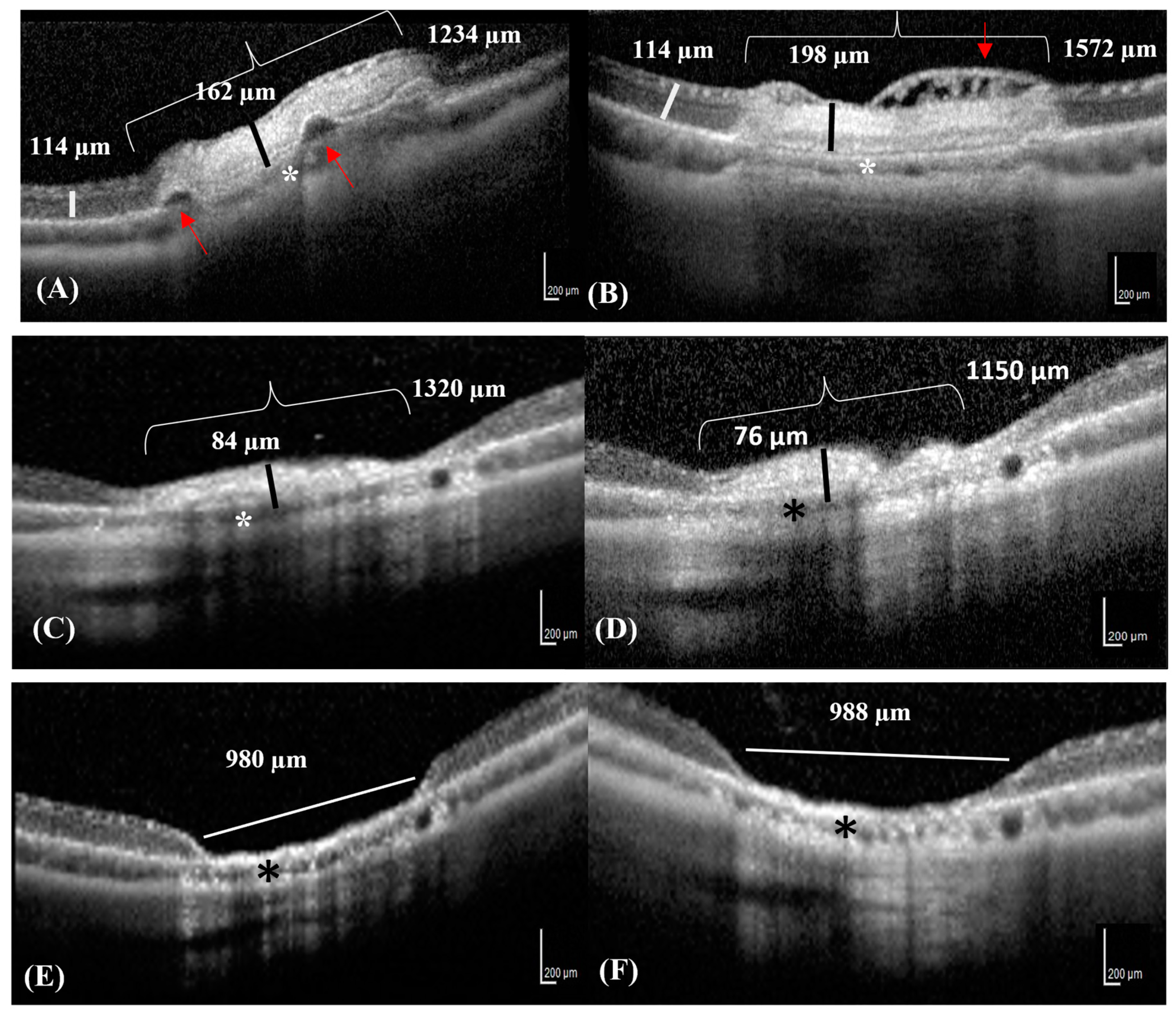 Vetsci 10 00535 g002 Vetsci 10 00535 g002