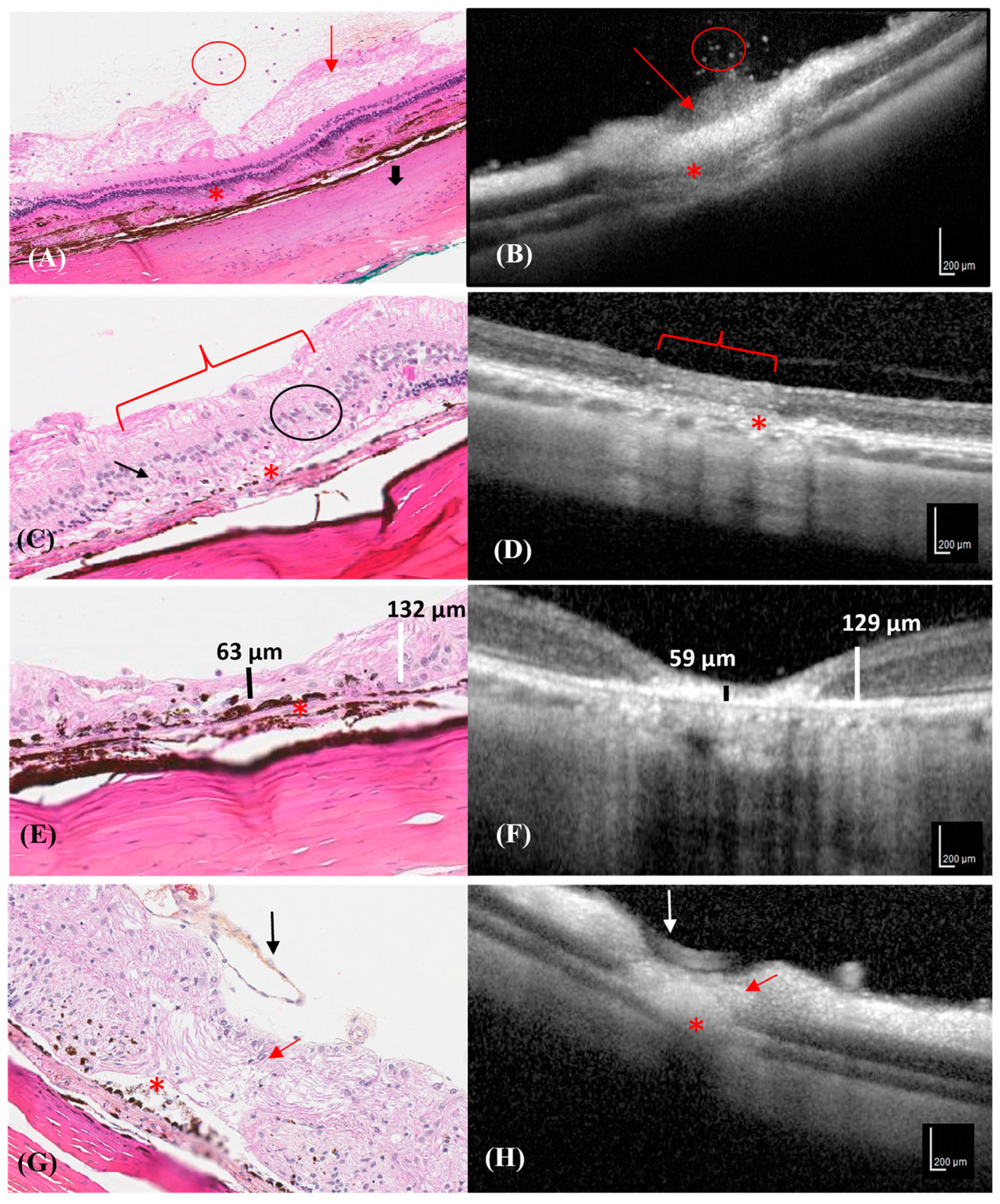 Vetsci 10 00535 g004 Vetsci 10 00535 g004