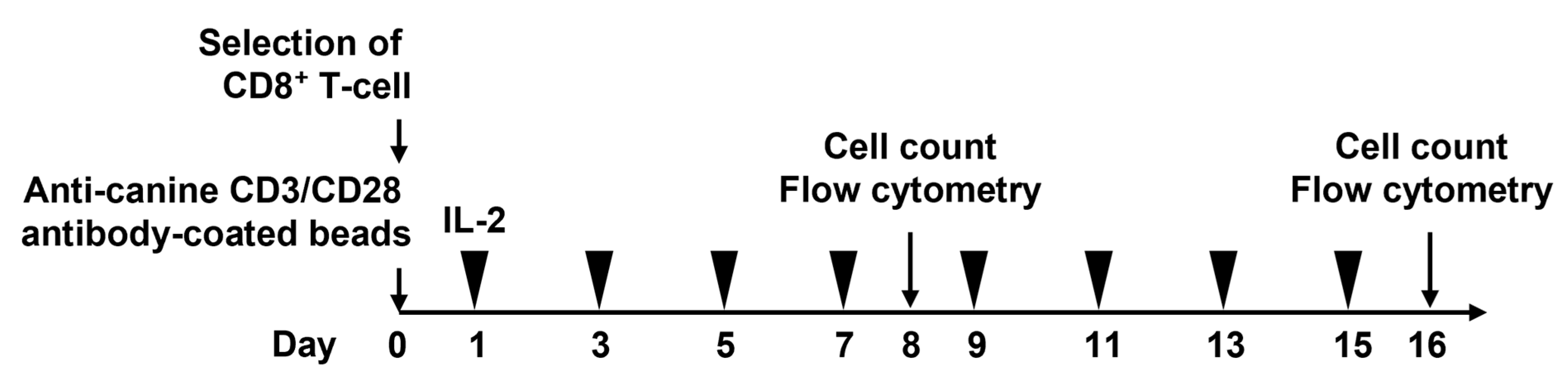 Vetsci 10 00541 g001