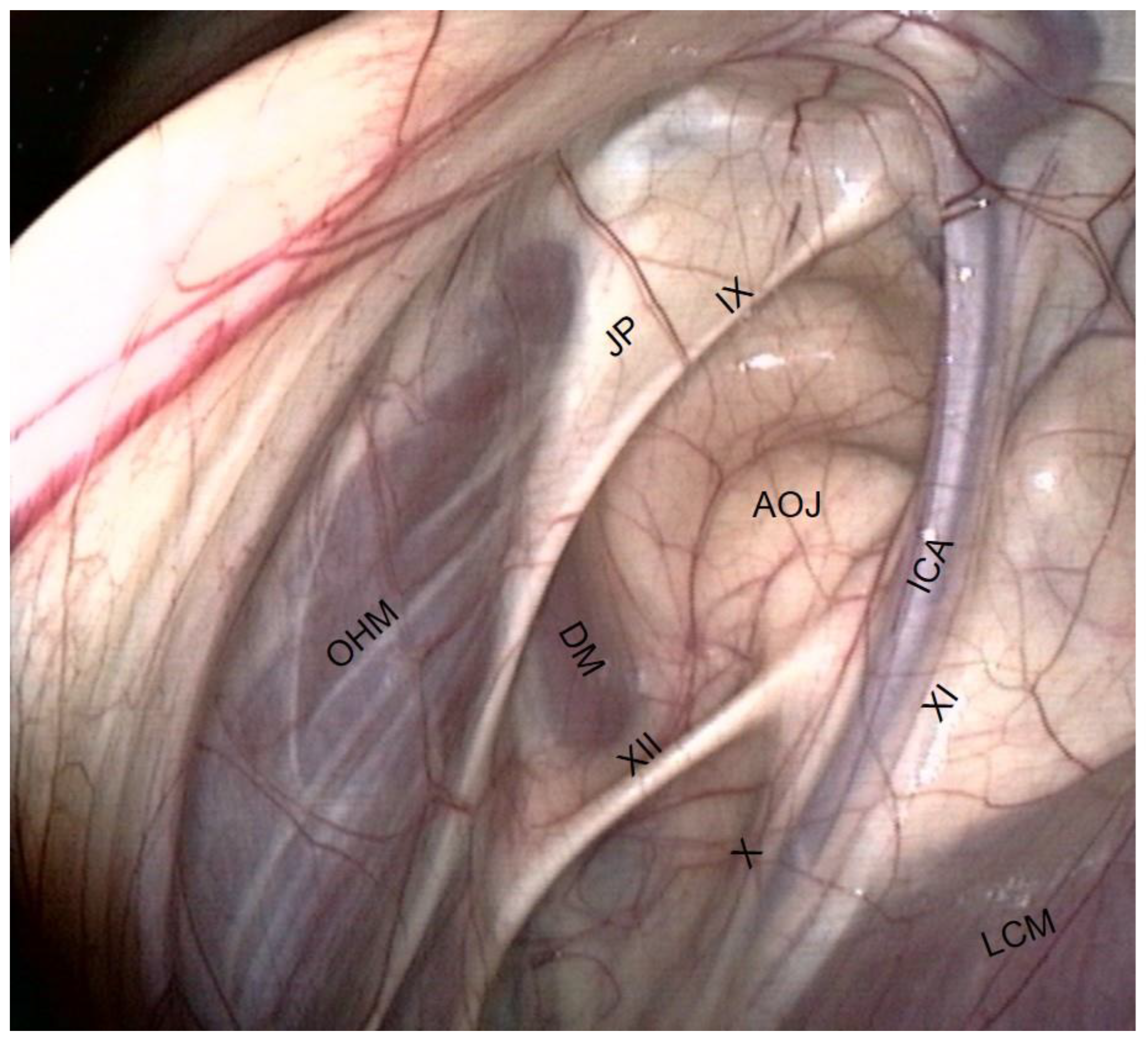 Vetsci 10 00542 g003
