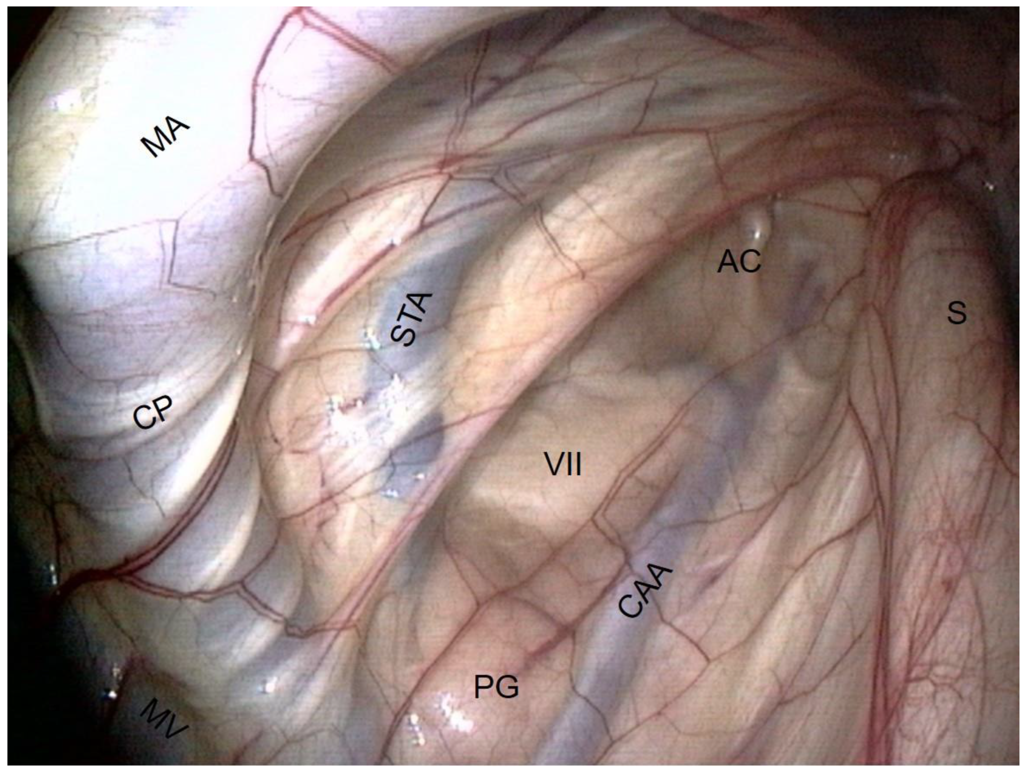 Vetsci 10 00542 g007