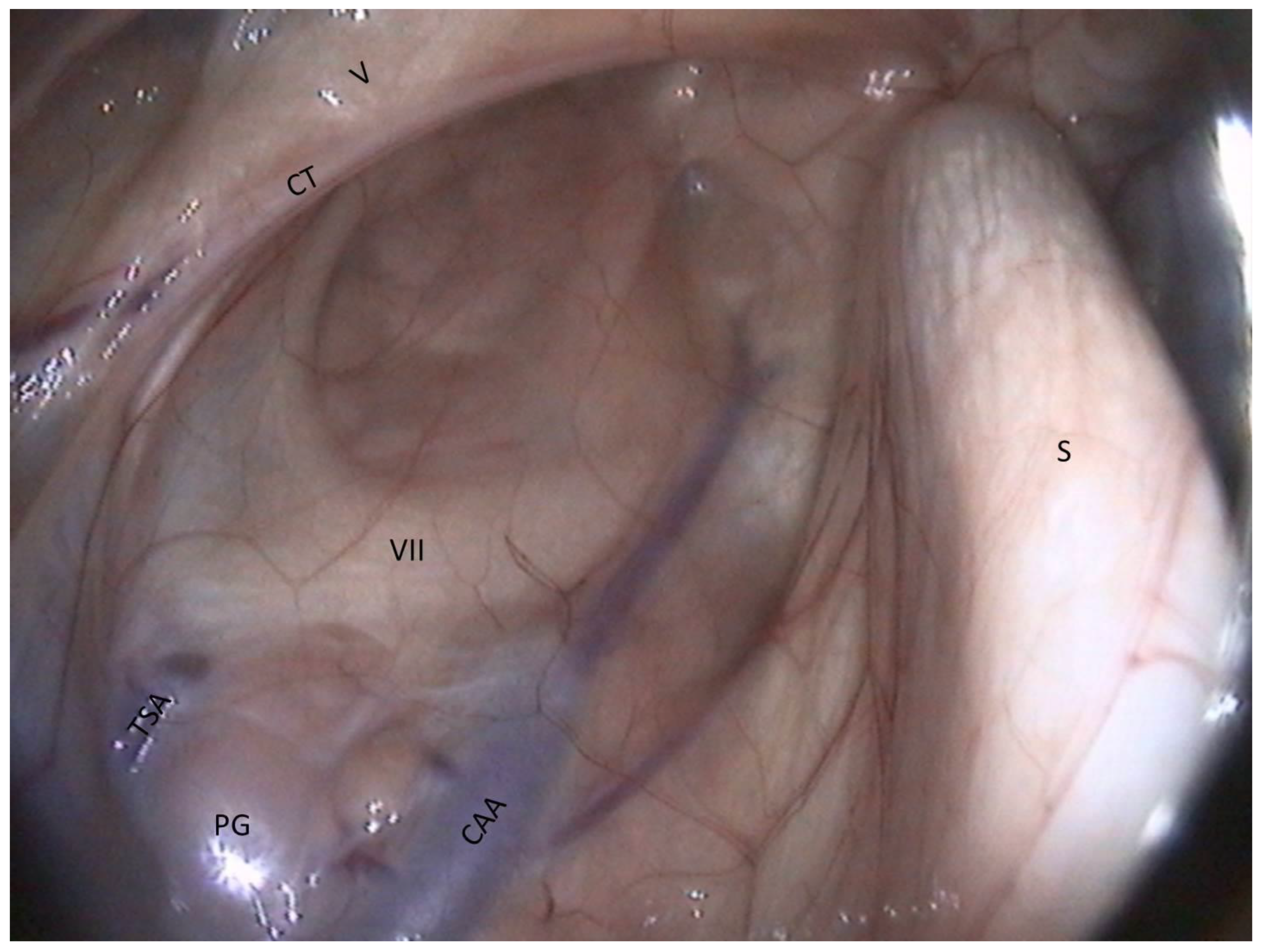 Vetsci 10 00542 g008