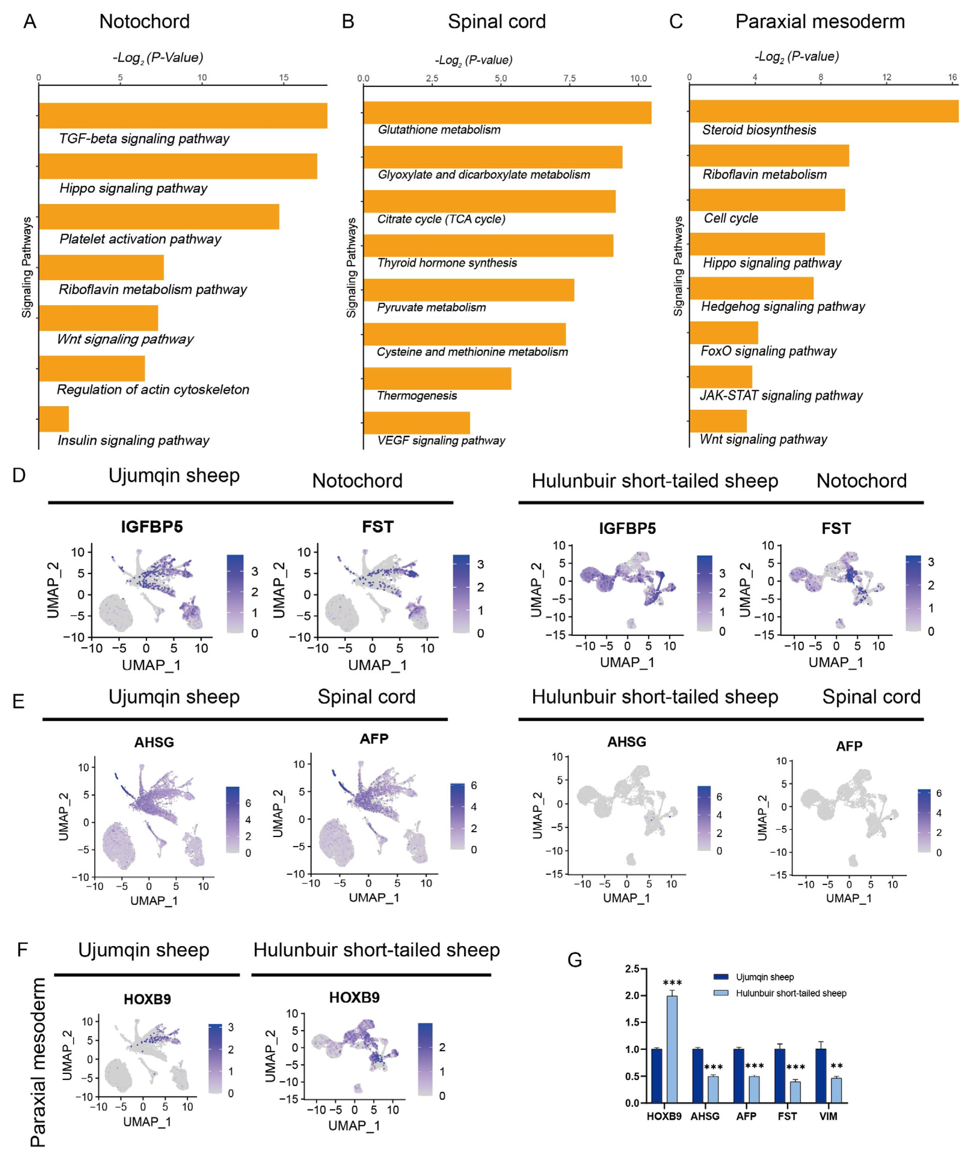 Vetsci 10 00543 g002 Vetsci 10 00543 g002