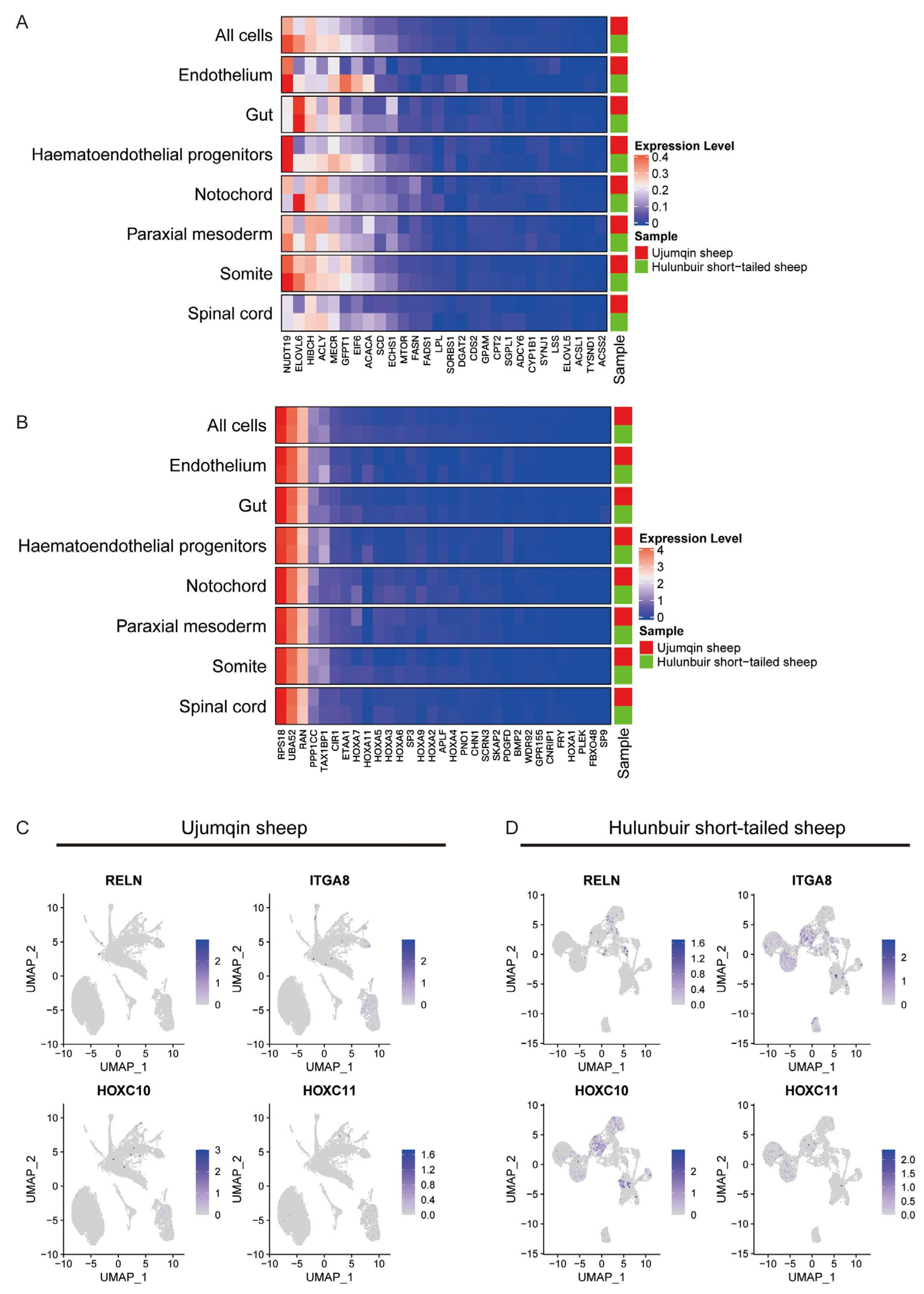 Vetsci 10 00543 g003 Vetsci 10 00543 g003