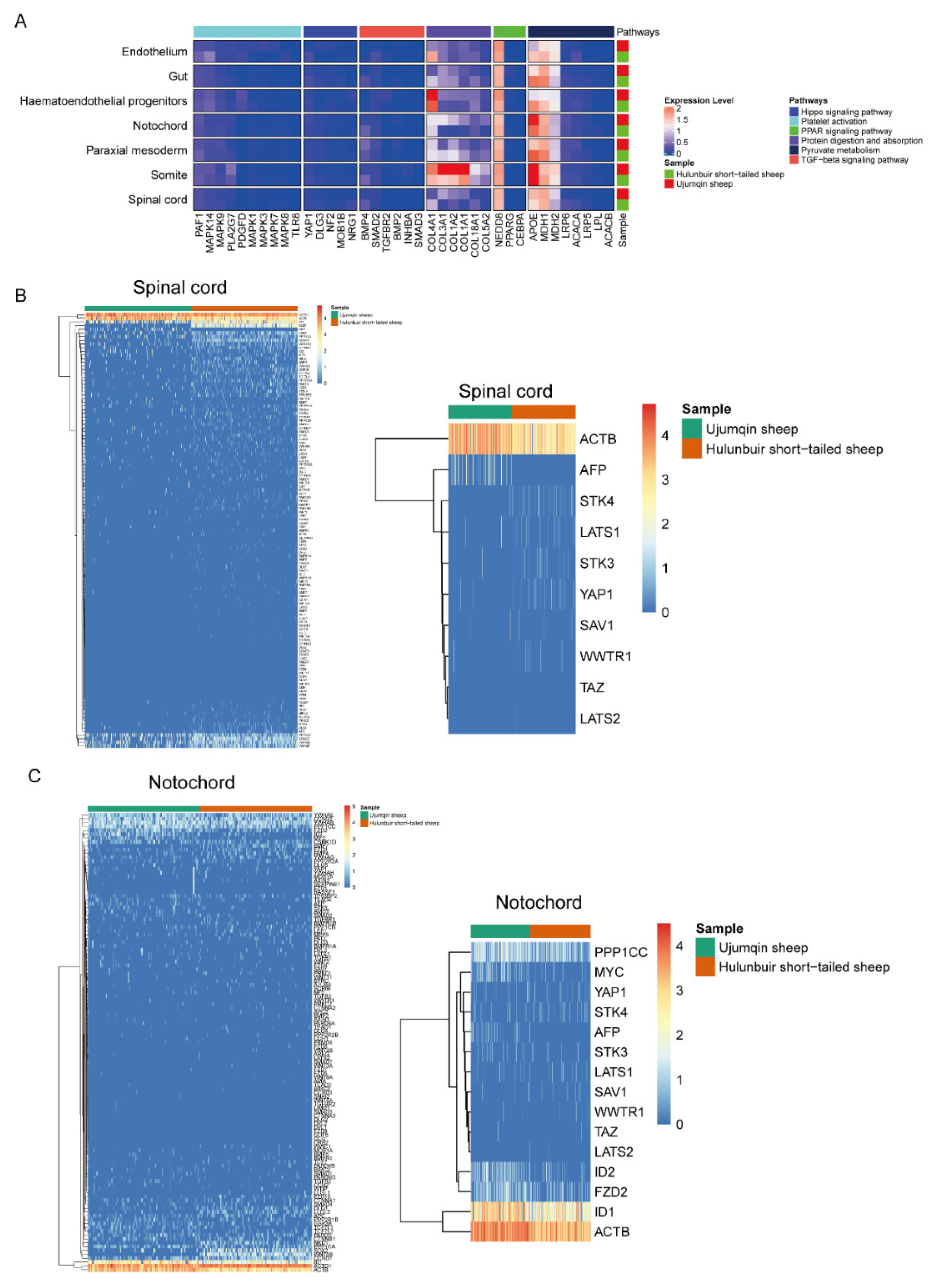Vetsci 10 00543 g004 Vetsci 10 00543 g004