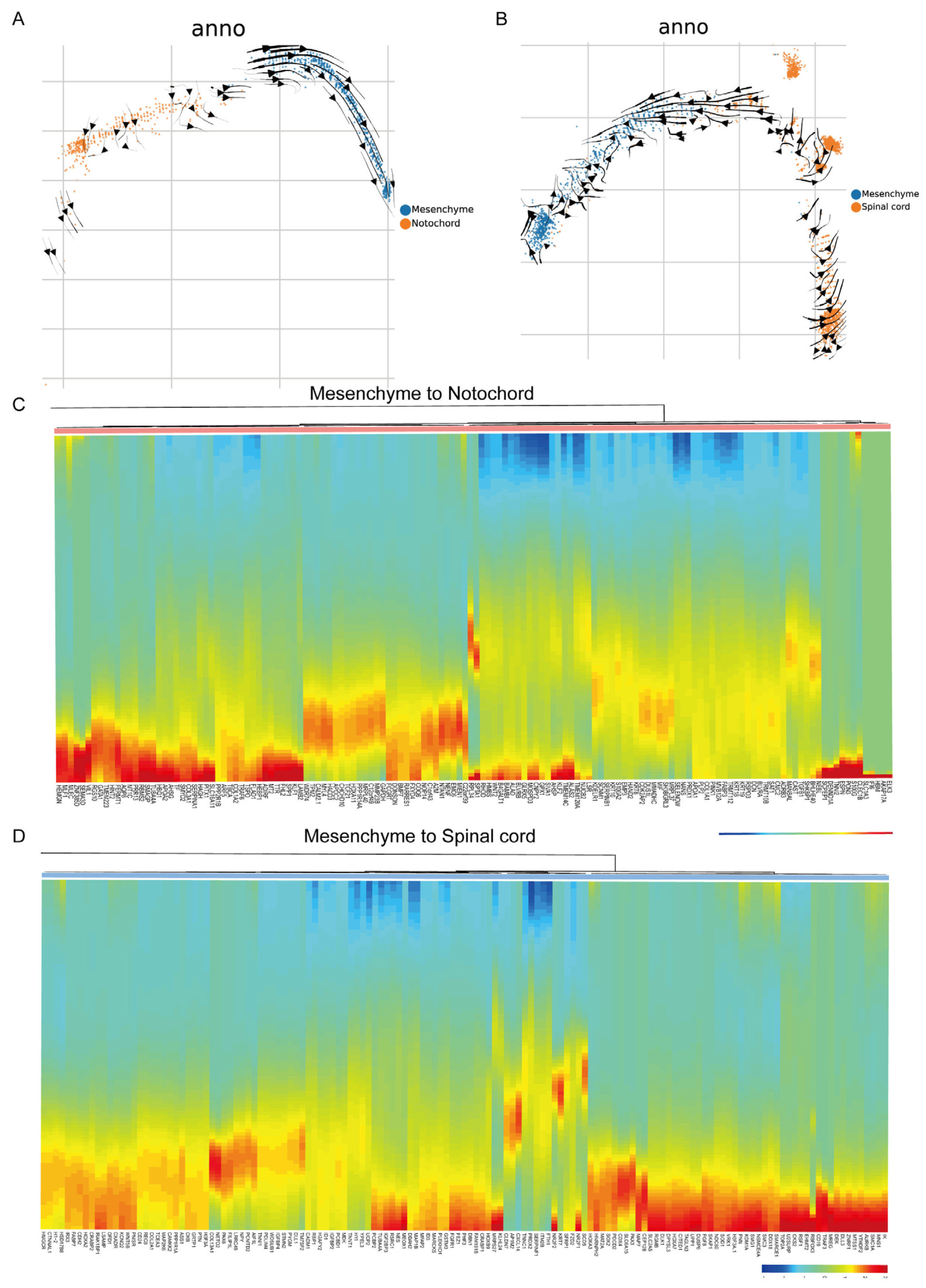Vetsci 10 00543 g005 Vetsci 10 00543 g005