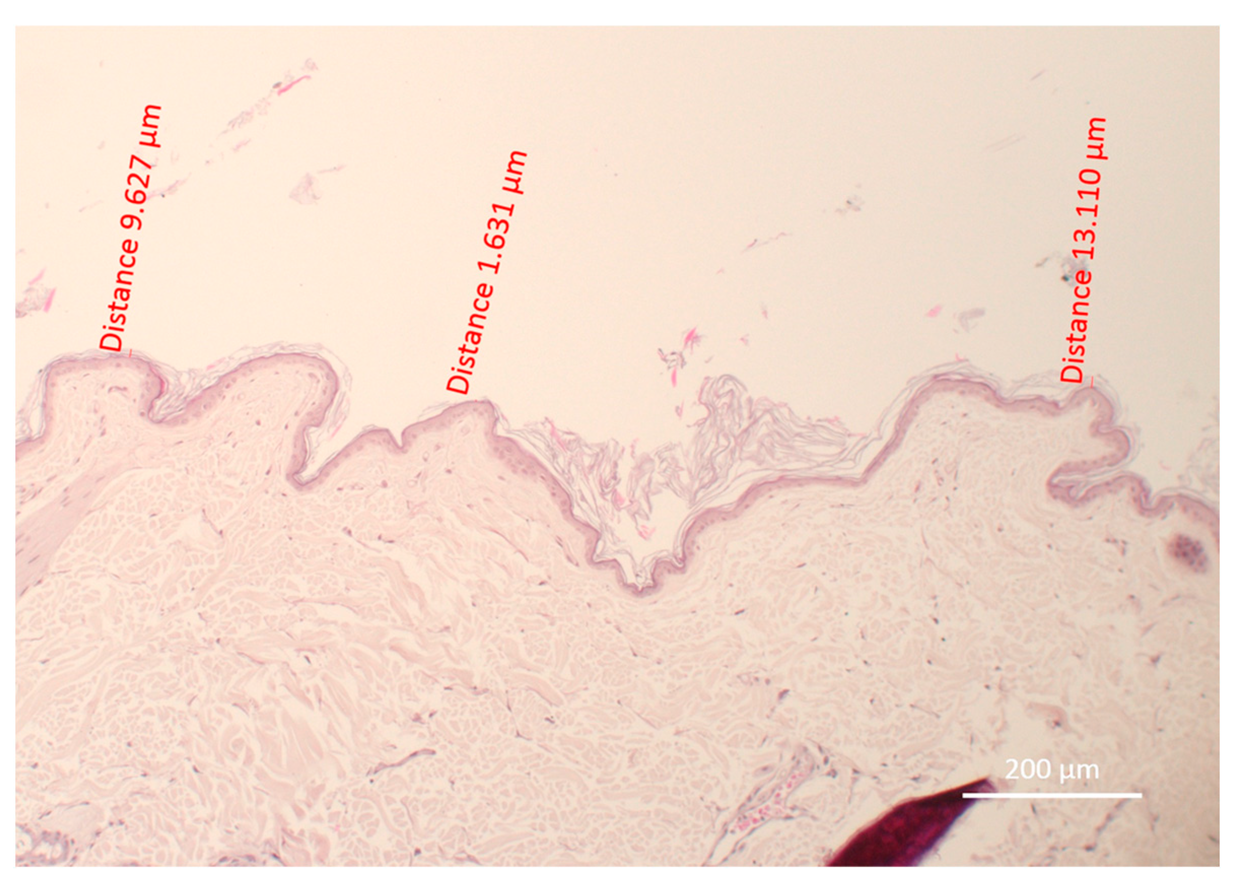 Vetsci 10 00547 g002