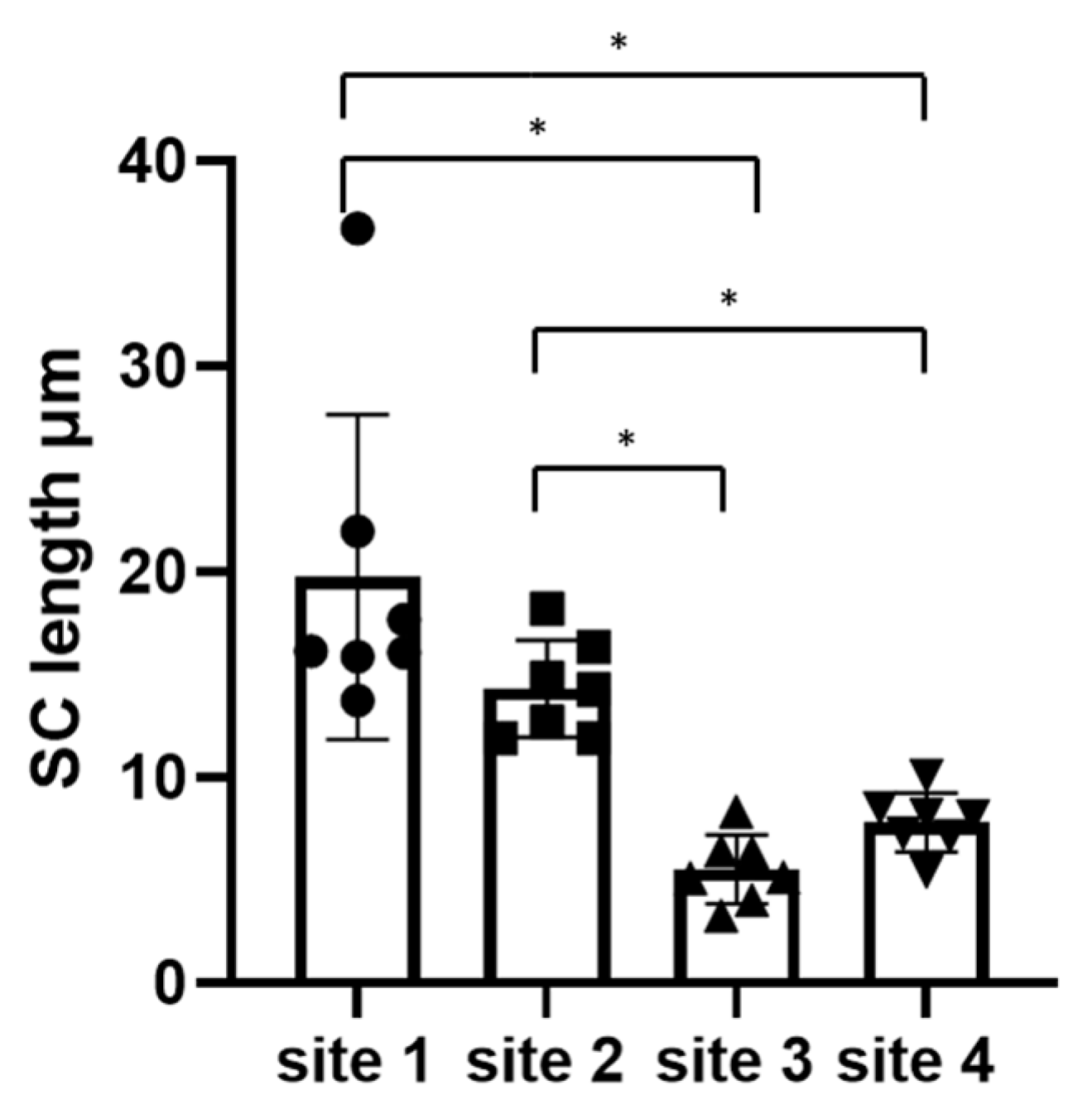 Vetsci 10 00547 g004