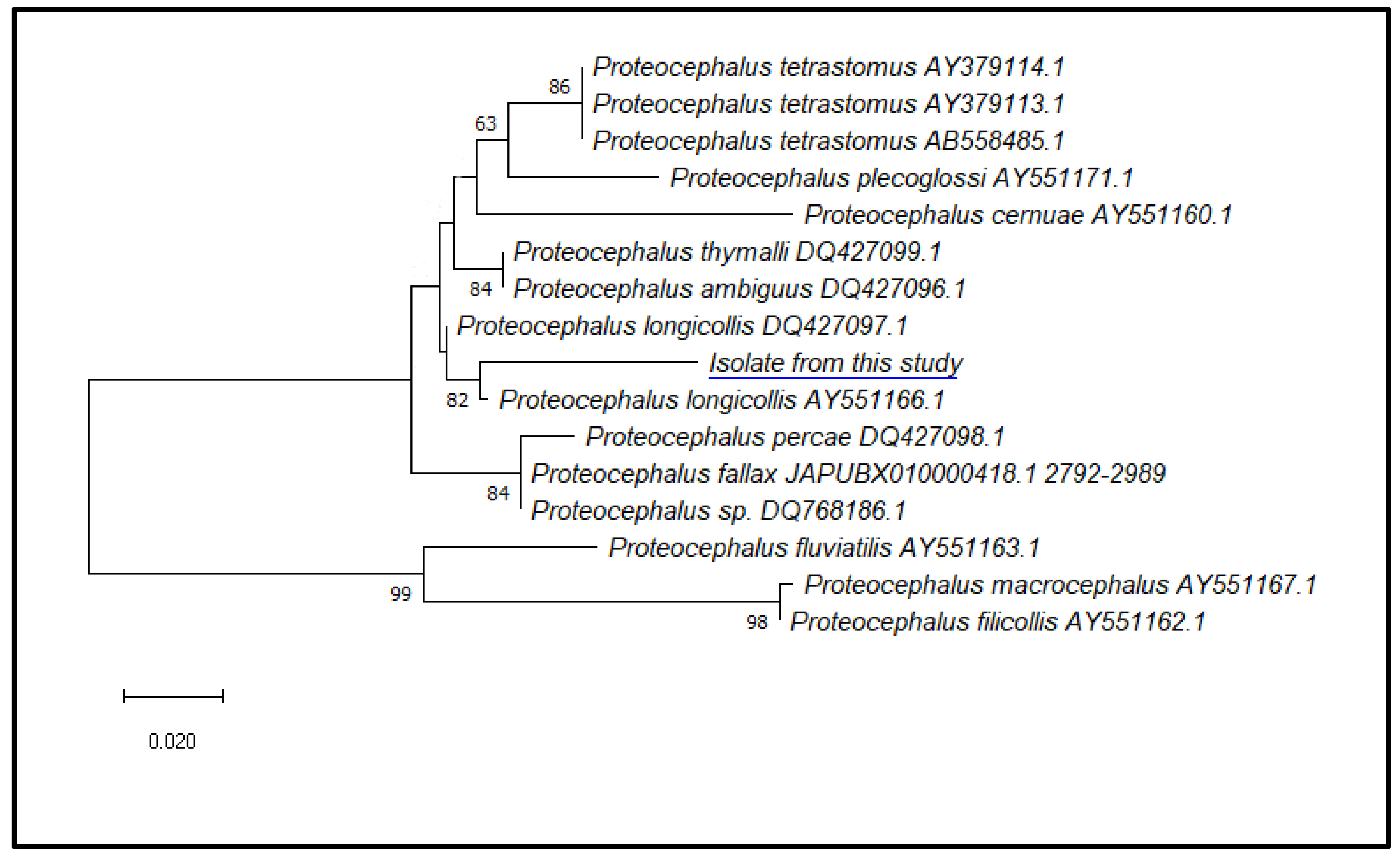 Vetsci 10 00567 g006
