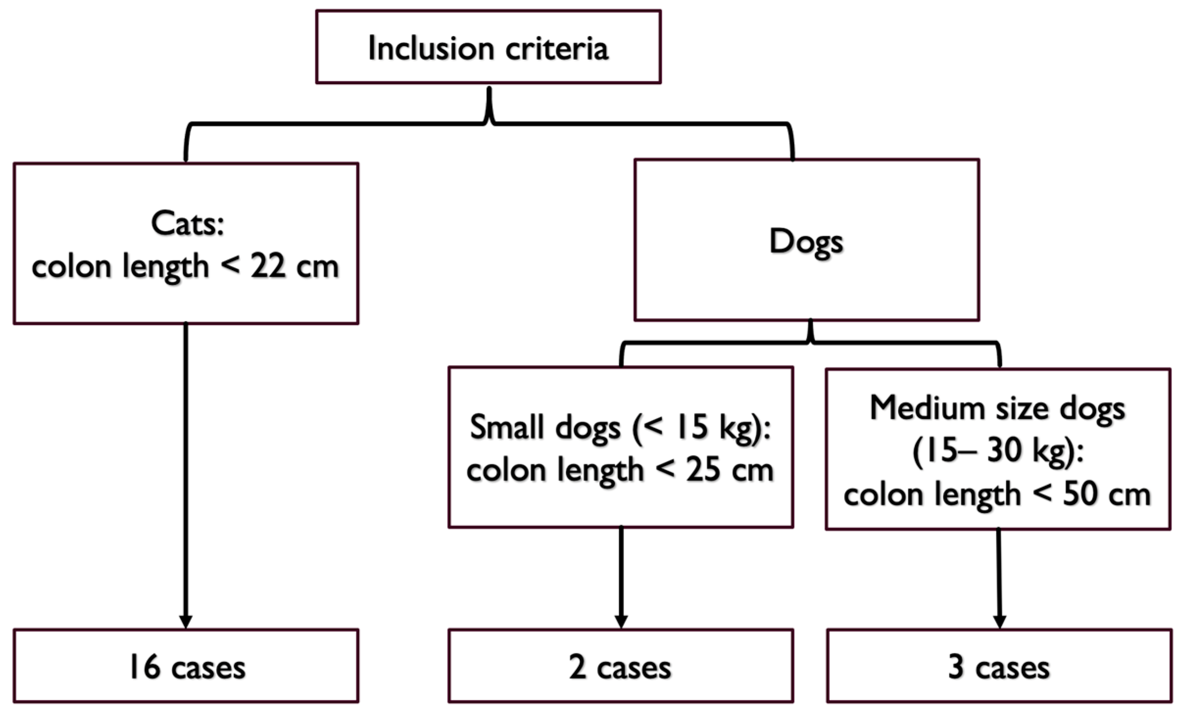 Vetsci 10 00577 g001