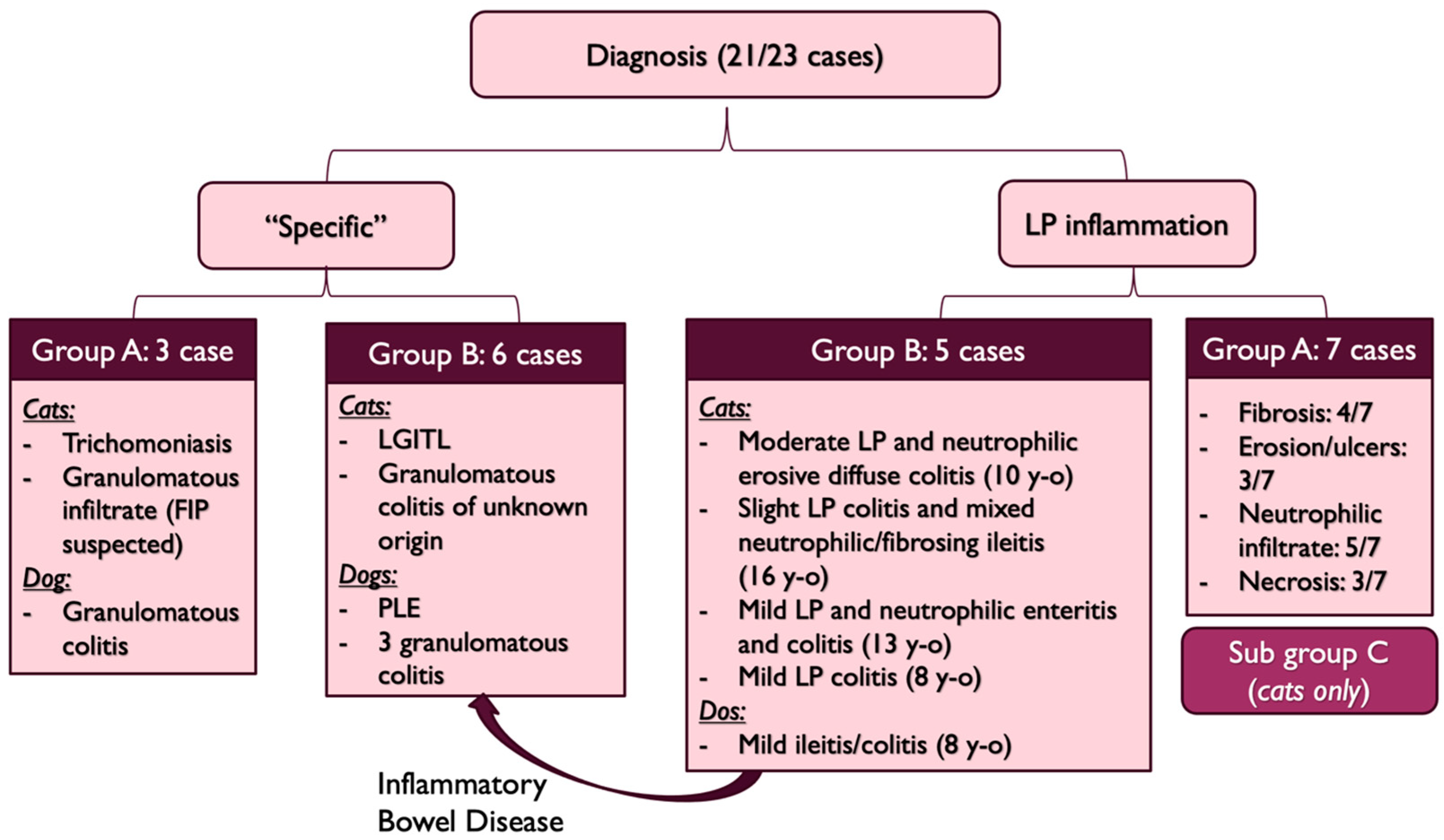 Vetsci 10 00577 g008
