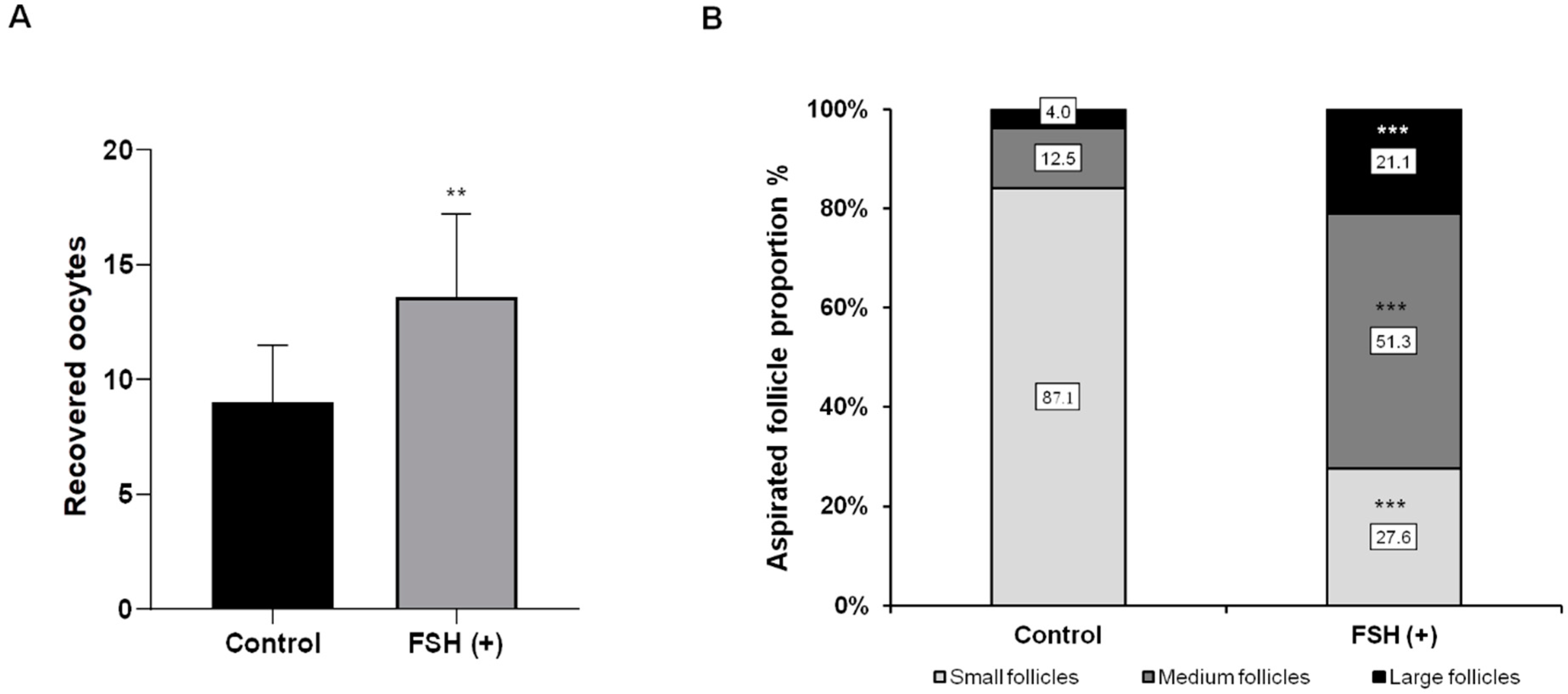 Vetsci 10 00578 g002