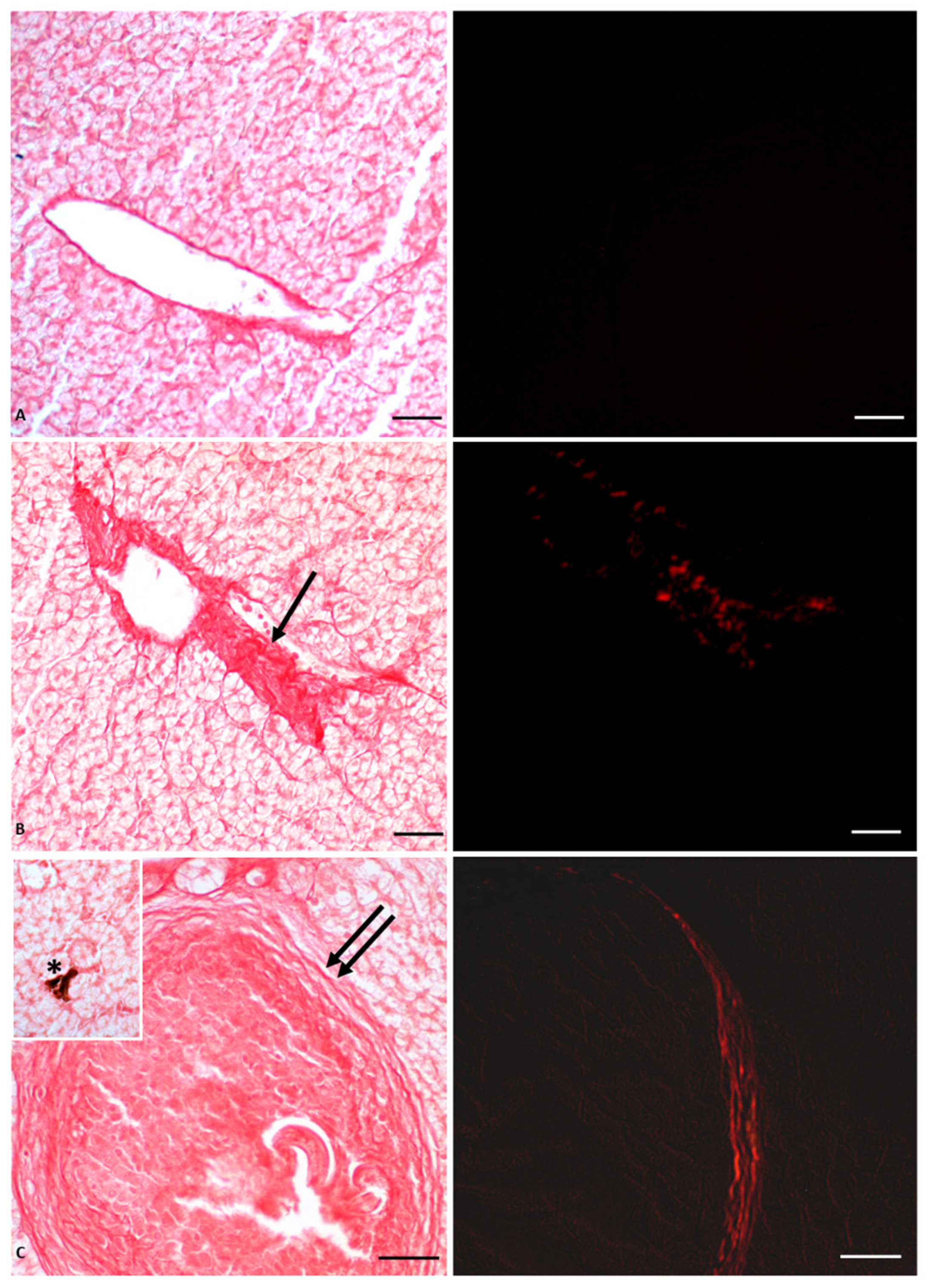 Vetsci 10 00583 g002