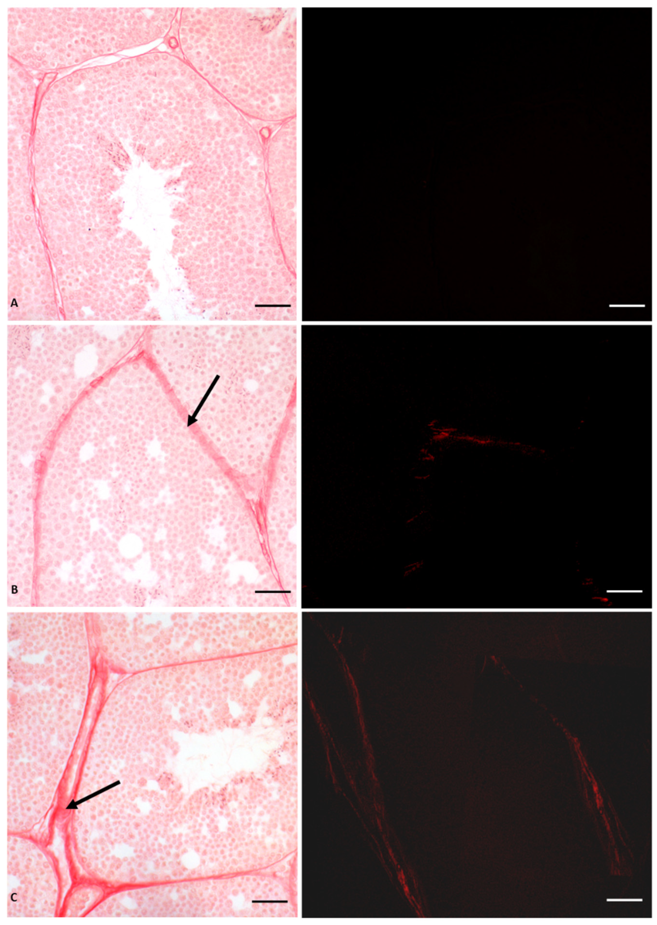 Vetsci 10 00583 g003