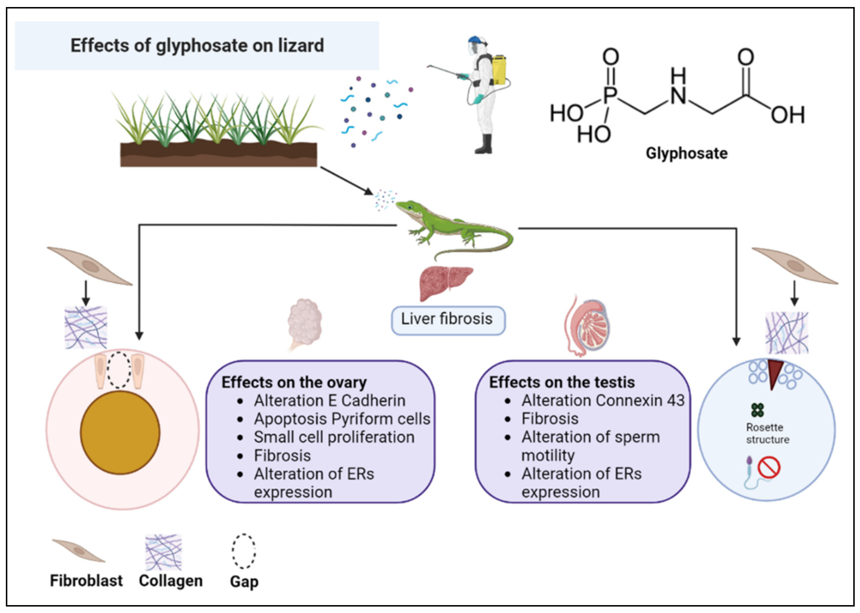 Vetsci 10 00583 g004