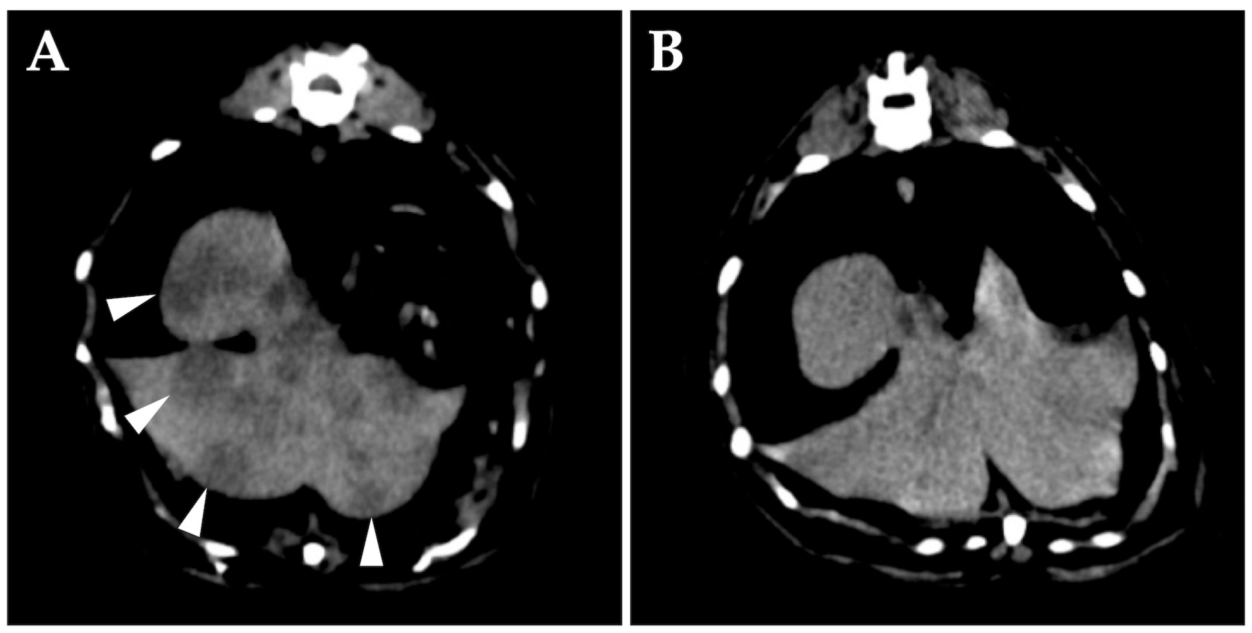 Vetsci 10 00585 g003