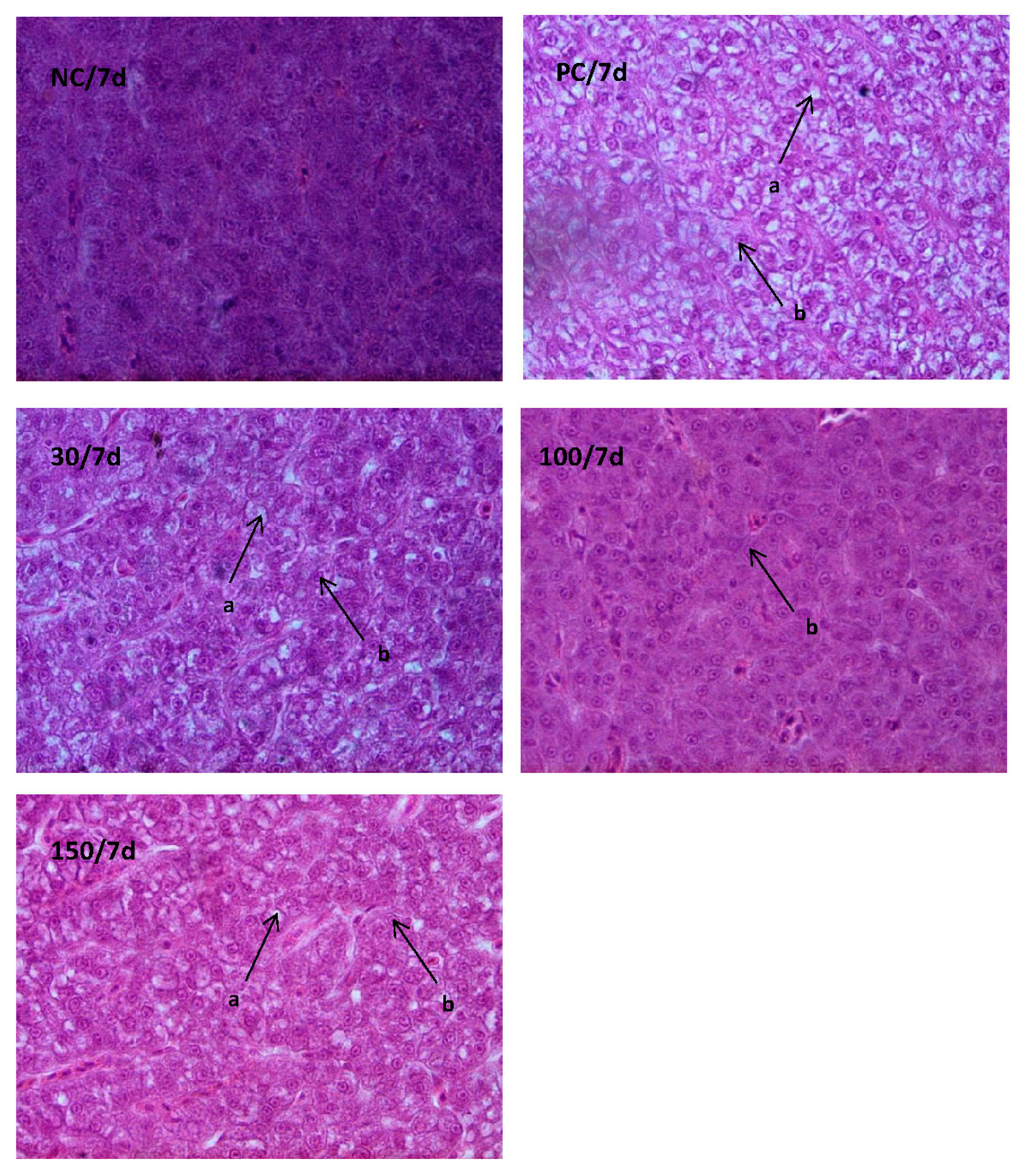 Vetsci 10 00588 g006