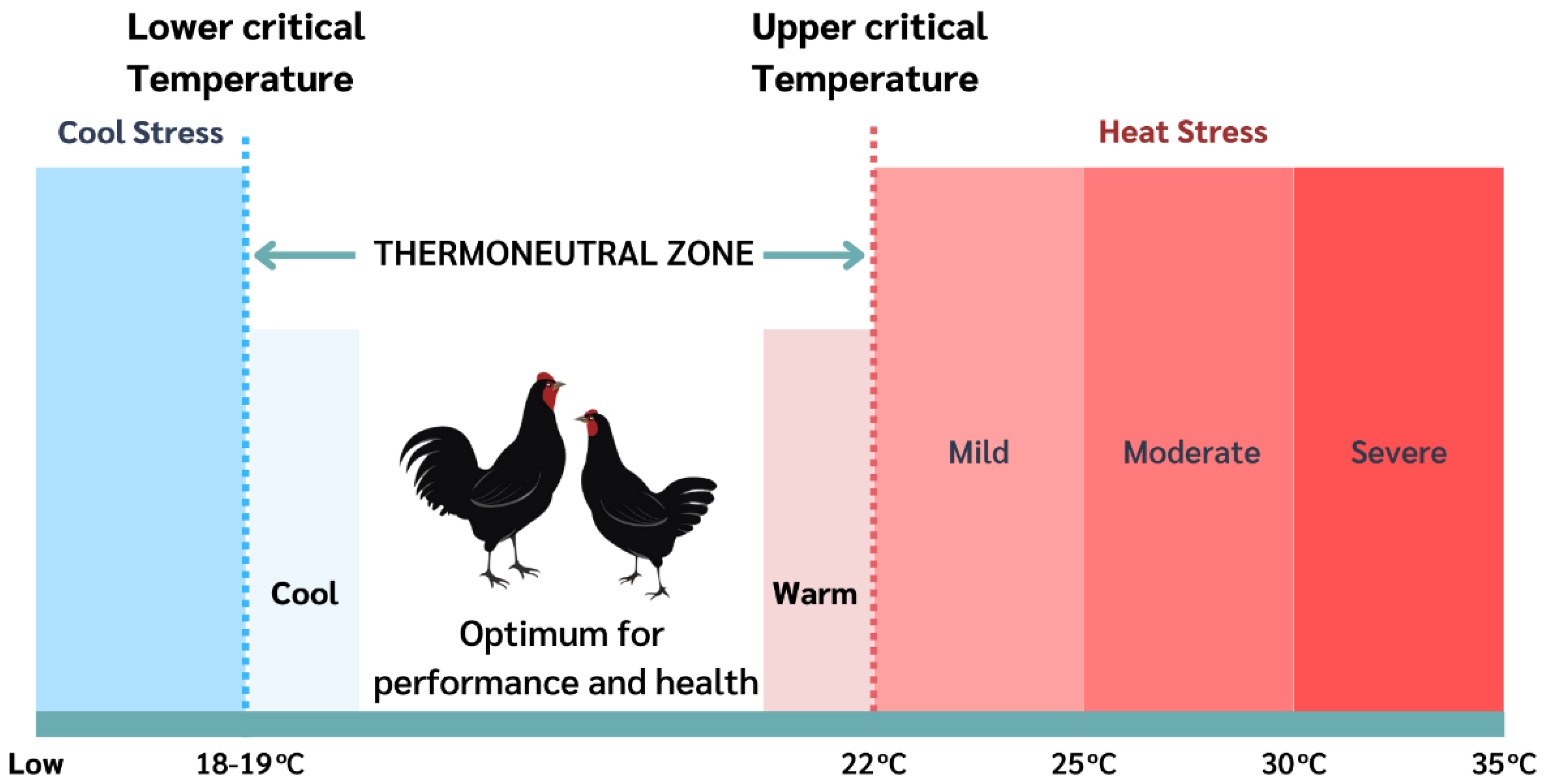 PDF) STUDY OF ECONOMIC CONSEQUENCES OF EXOGENOUS HORMONES IN POST PEAK  PRODUCTION PERIOD OF OLD LAYER HENS