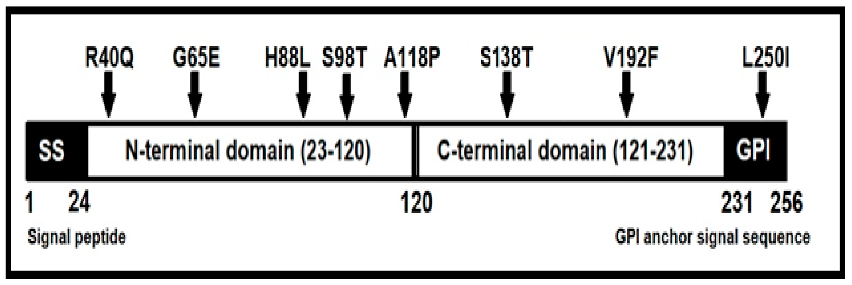 Vetsci 10 00597 g001 Vetsci 10 00597 g001