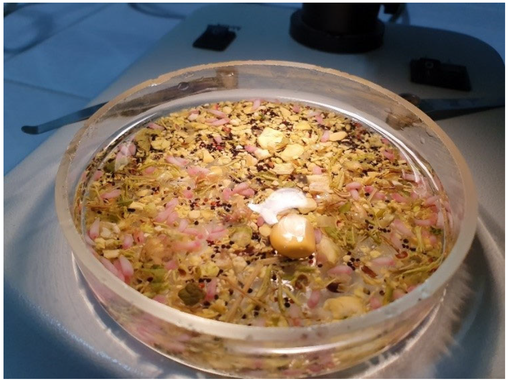 Vetsci 10 00603 g003