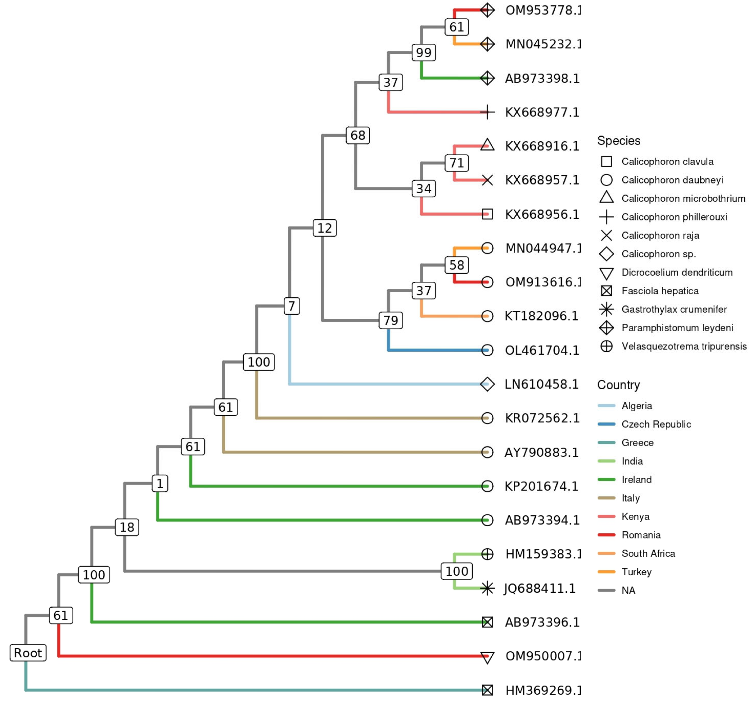 Vetsci 10 00603 g004