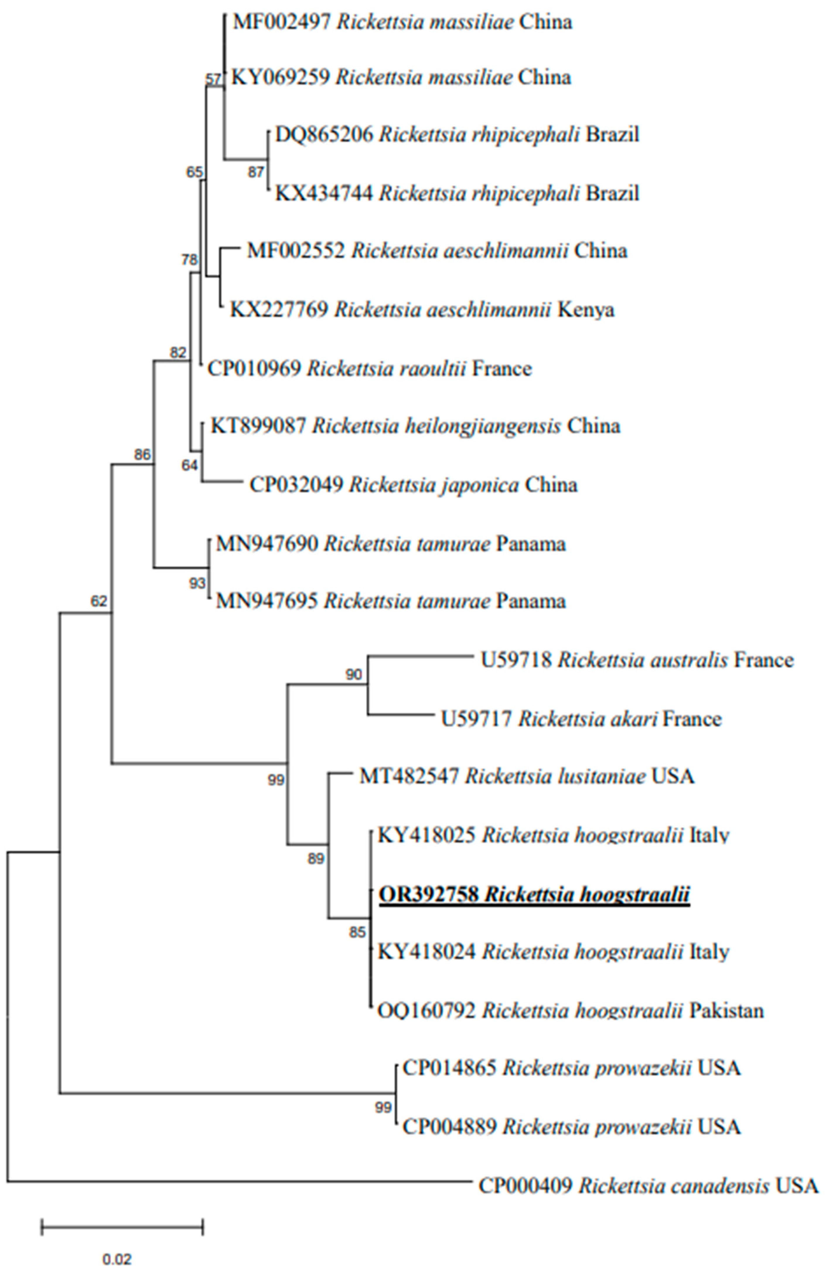 Vetsci 10 00605 g002