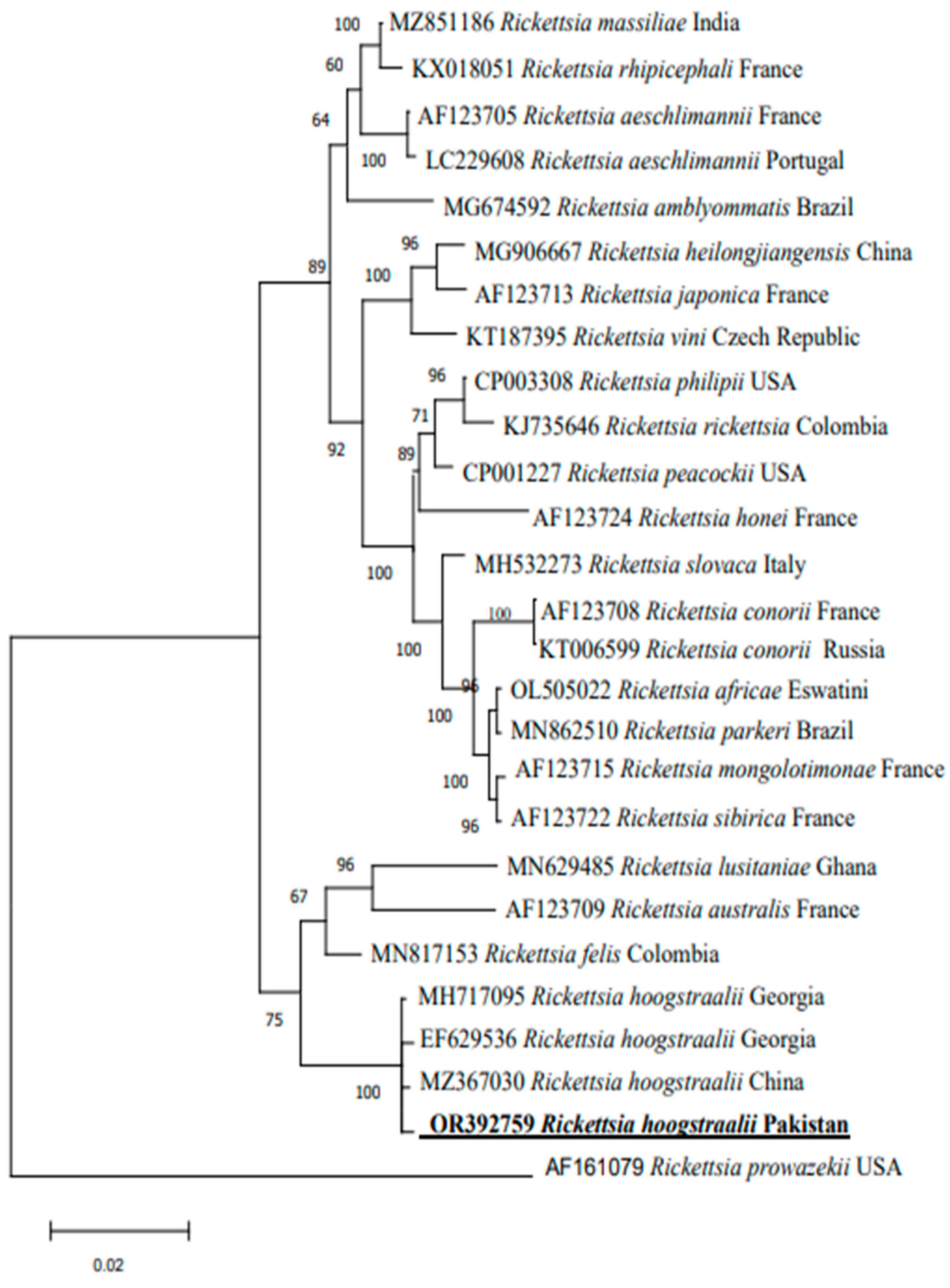 Vetsci 10 00605 g003