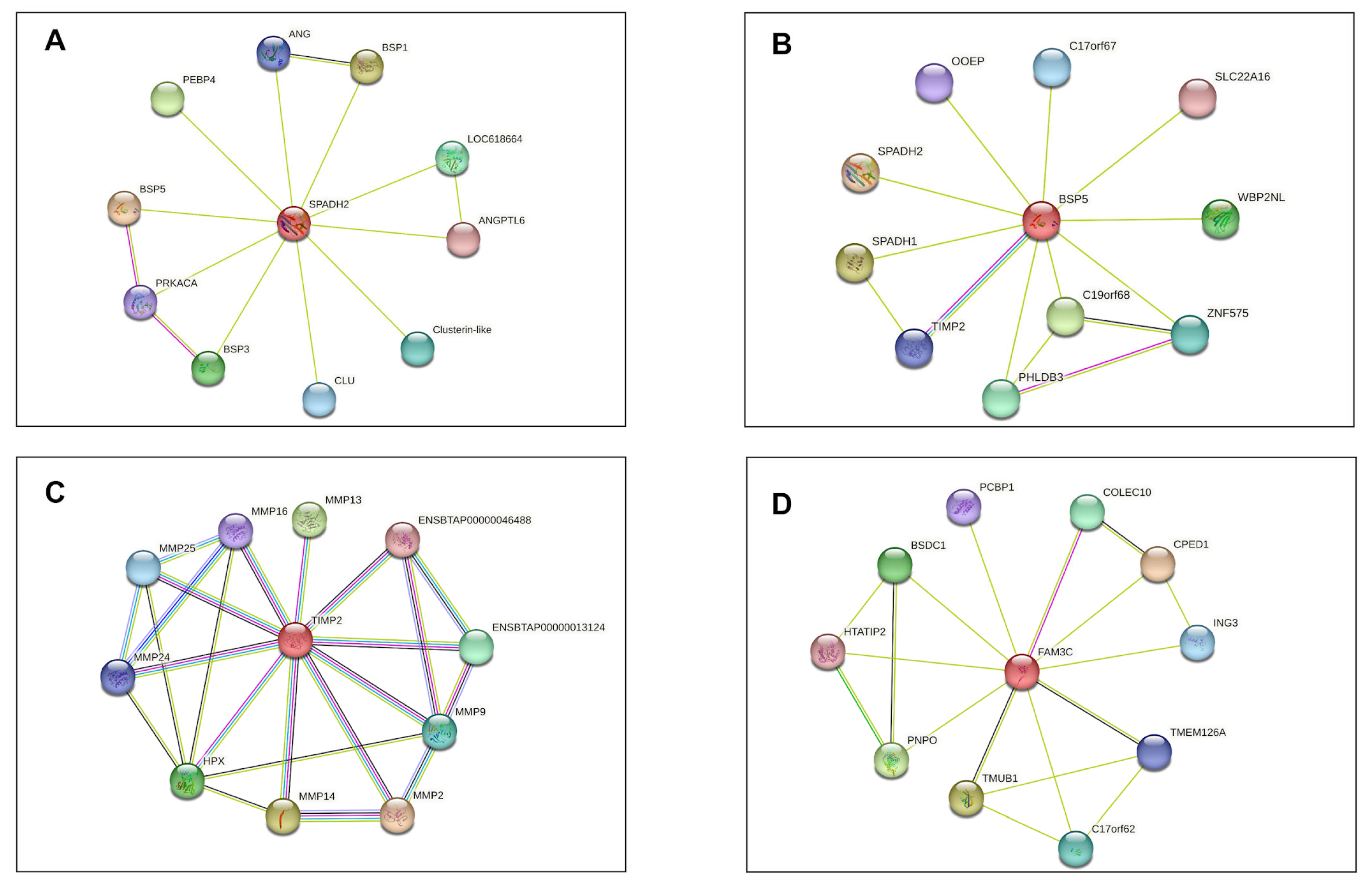 Vetsci 10 00610 g005