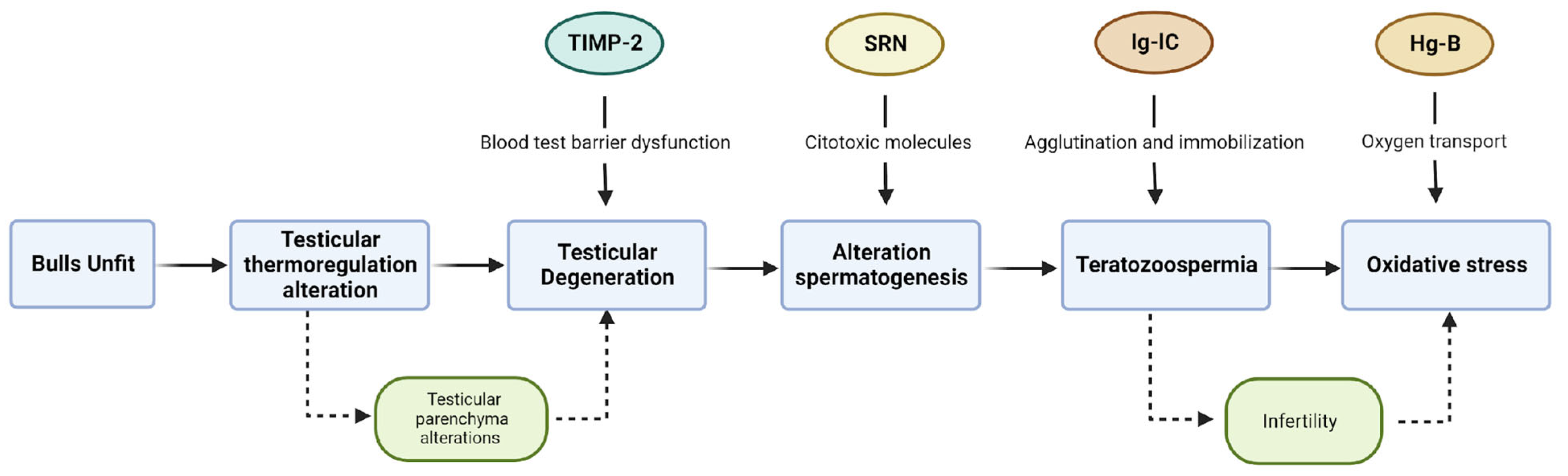 Vetsci 10 00610 g006
