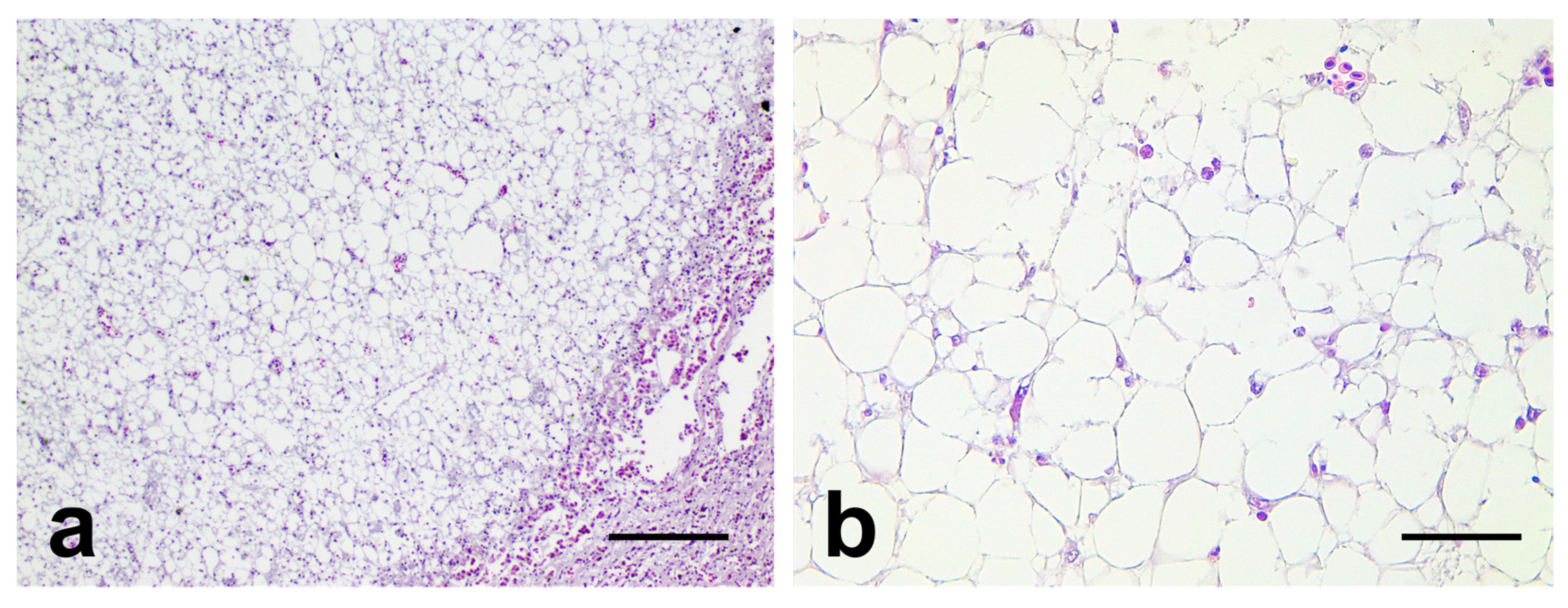 Vetsci 10 00626 g002