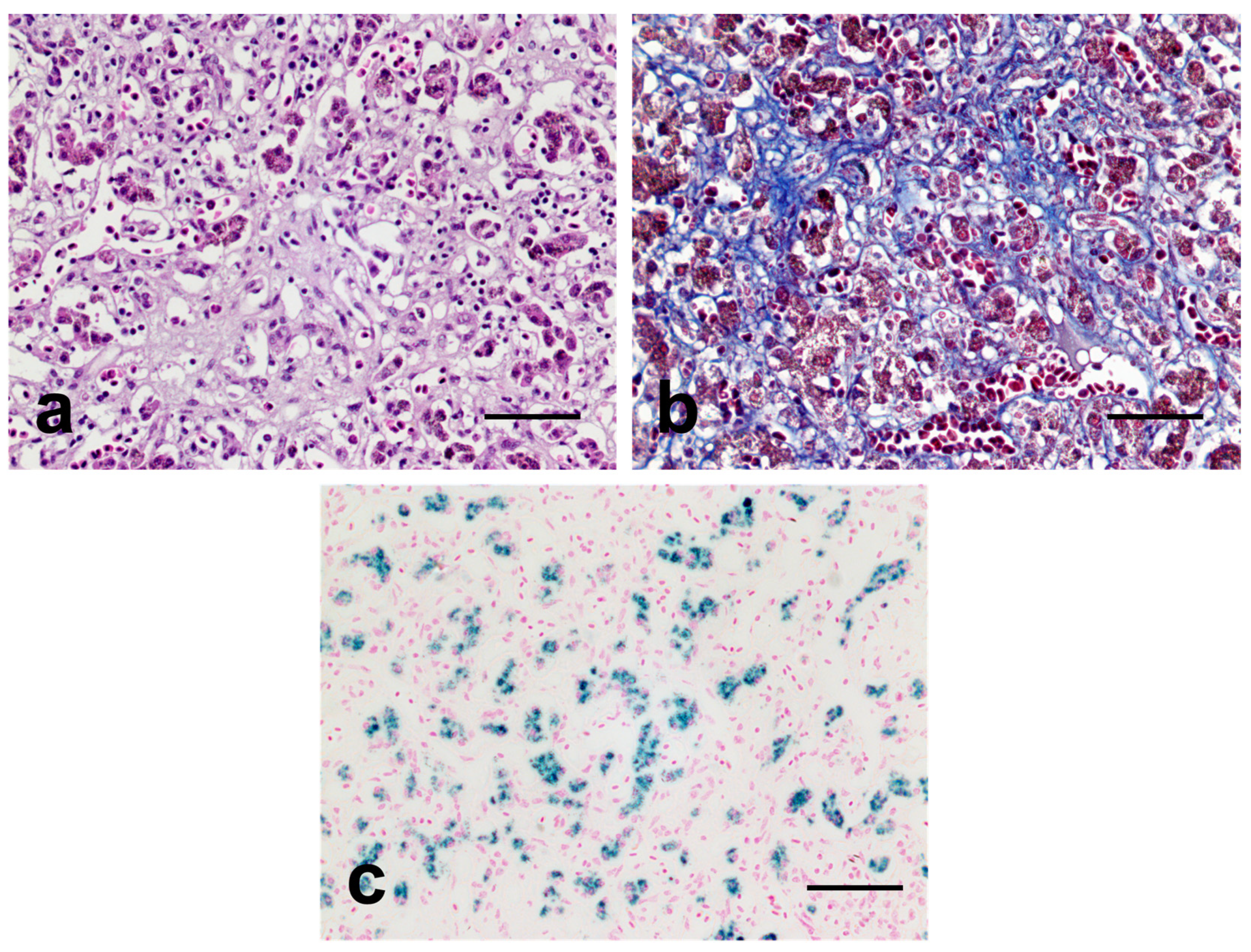 Vetsci 10 00626 g003