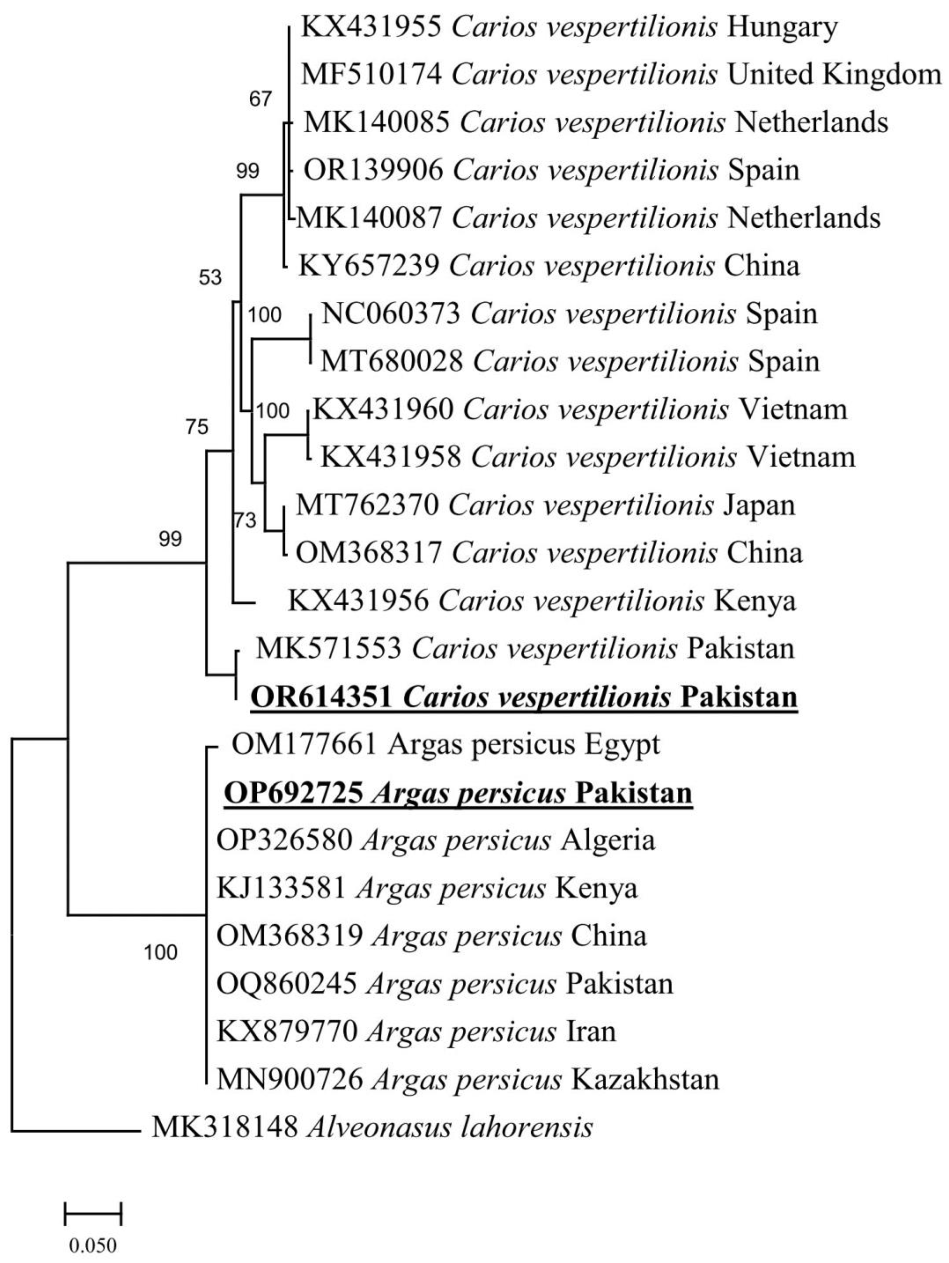 Vetsci 10 00628 g002