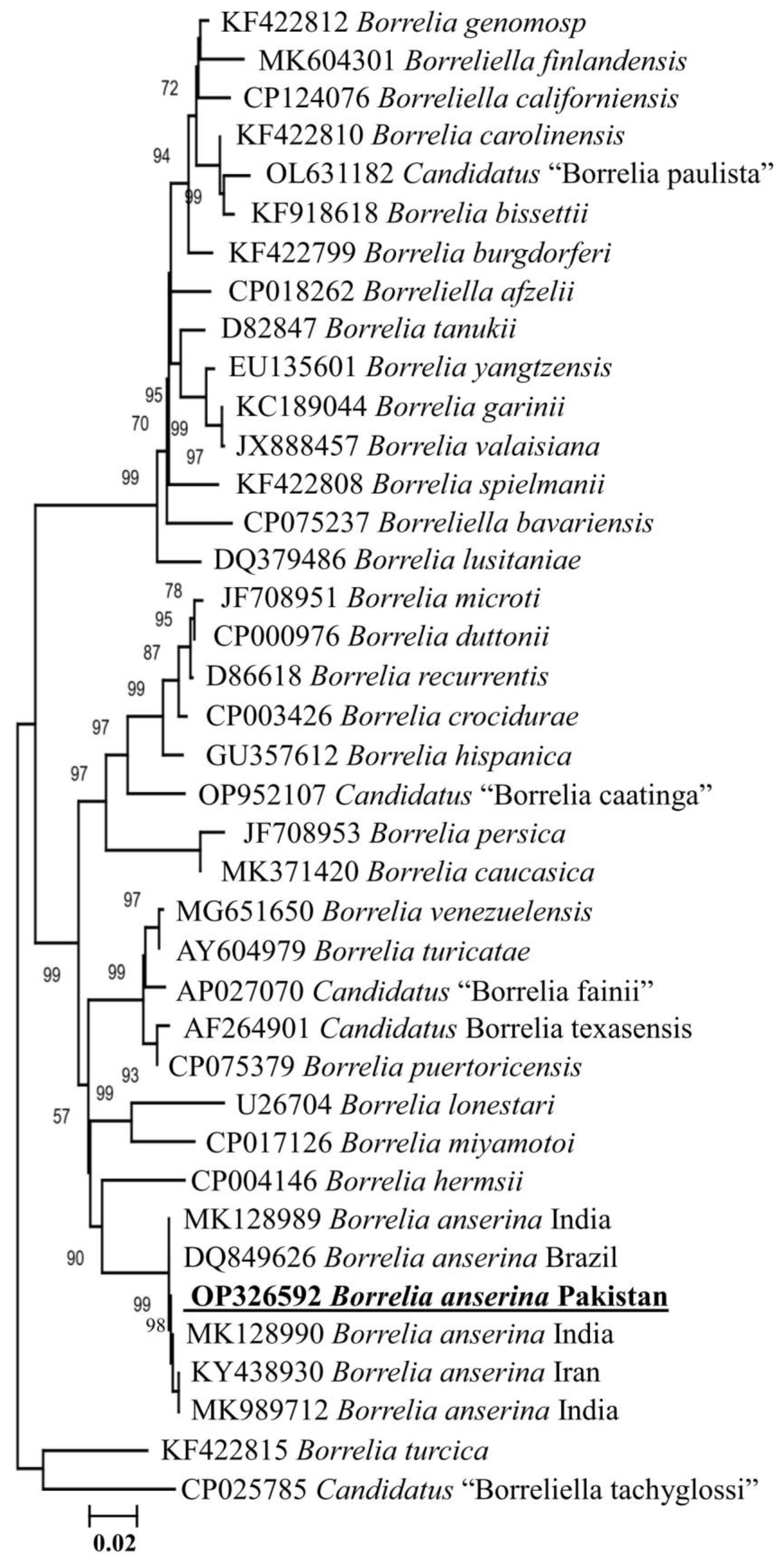 Vetsci 10 00628 g003